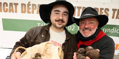 Sous les oliviers de Jacques Chibois à Grasse, la truffe s'est vendue 1.200 euros le kilo