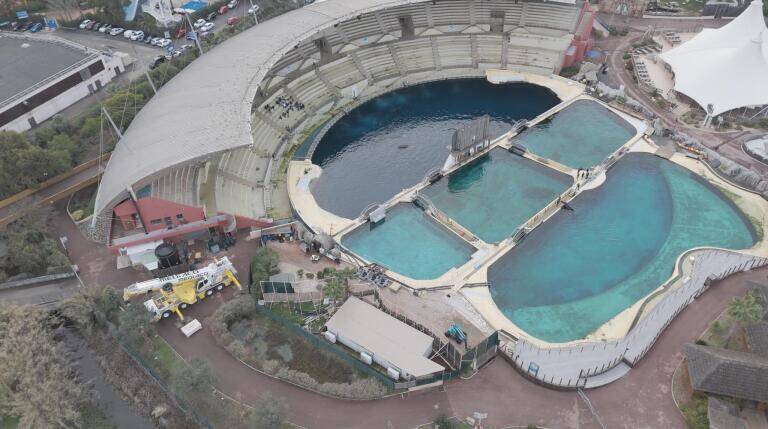 Des officiels japonais au parc Marineland d'Antibes? One Voice alerte sur un départ imminent des orques