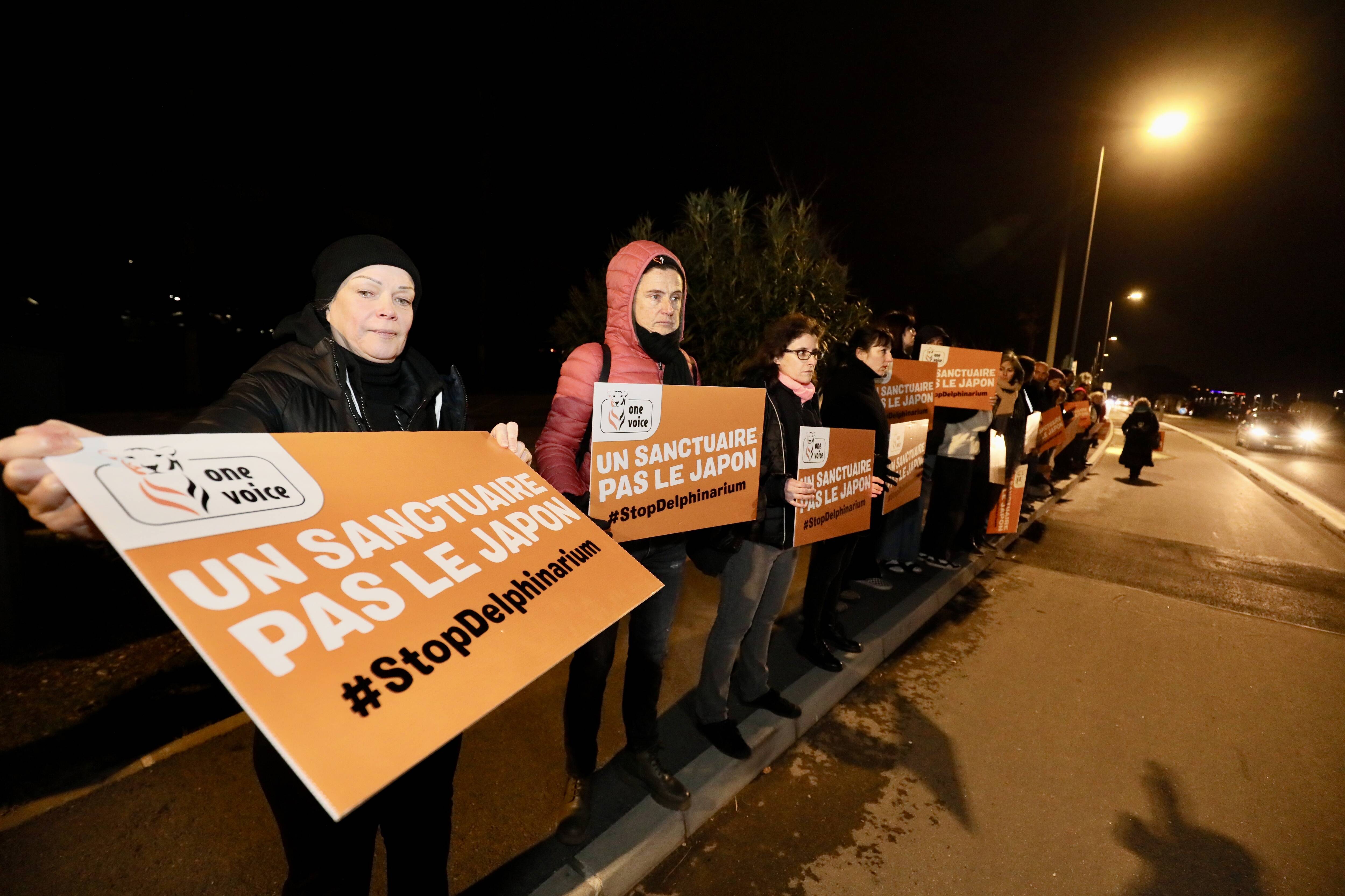 Une trentaine de militants de l'association One Voice rassemblés devant le Marineland d'Antibes ce mardi soir