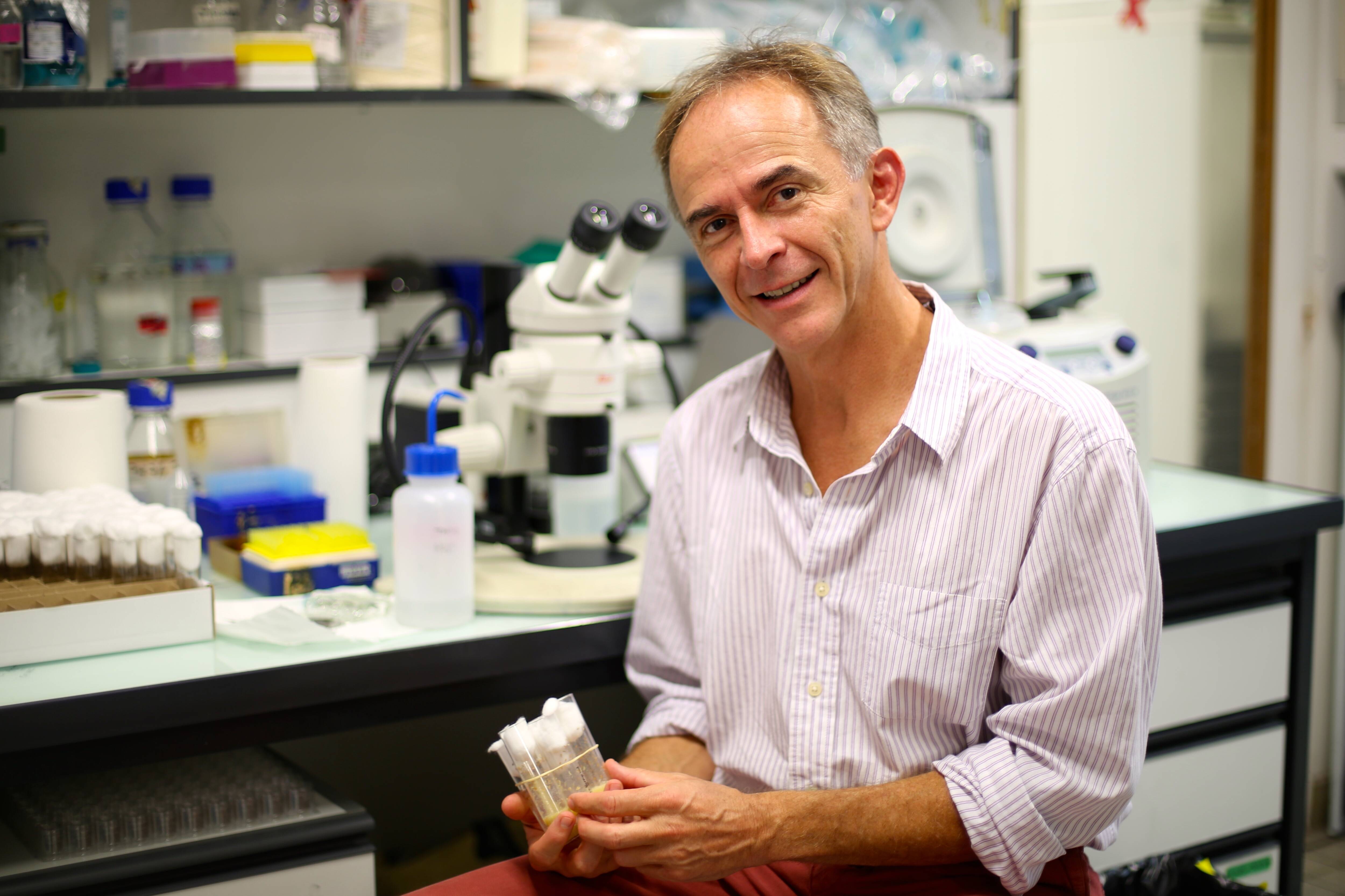 Pourra-t-on demain "forcer" la longévité en bonne santé? Une équipe de chercheurs niçois se consacre à cette possibilité