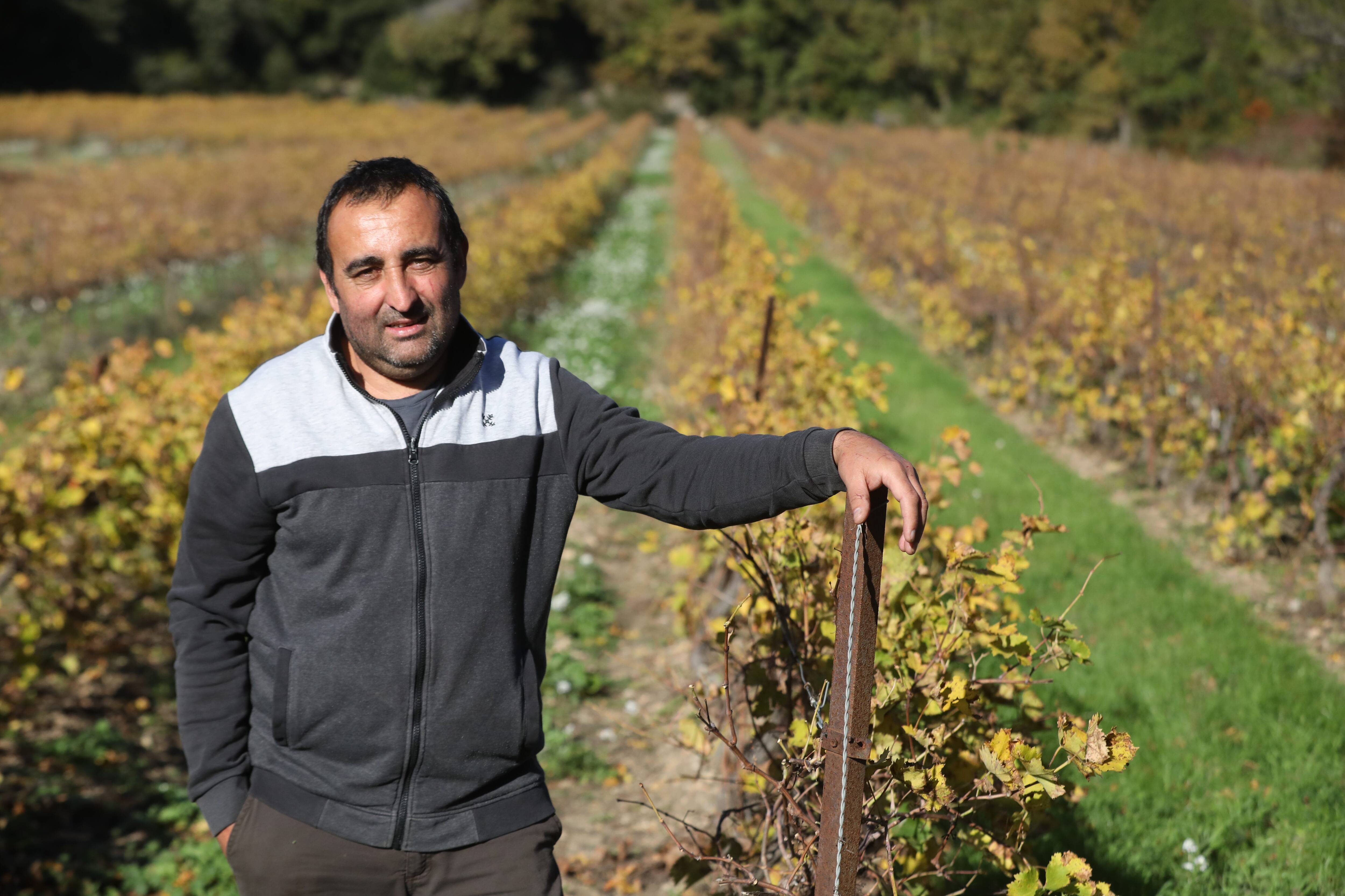 Qui est Sylvain Audemard, le nouveau président de la Chambre d'agriculture du Var?