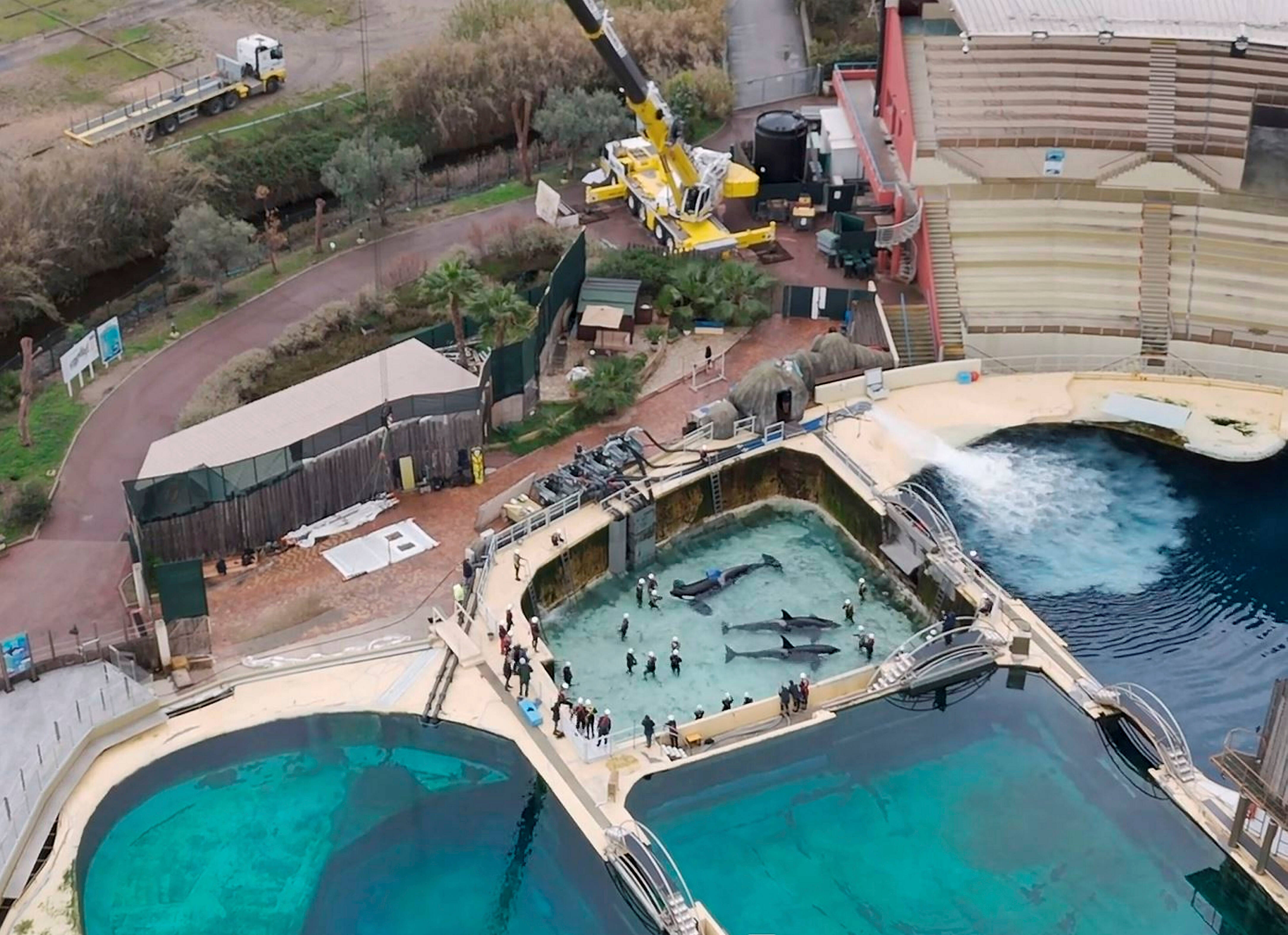 Marineland: le député Éric Pauget demande à Emmanuel Macron d'interdire le transfert des orques au Japon