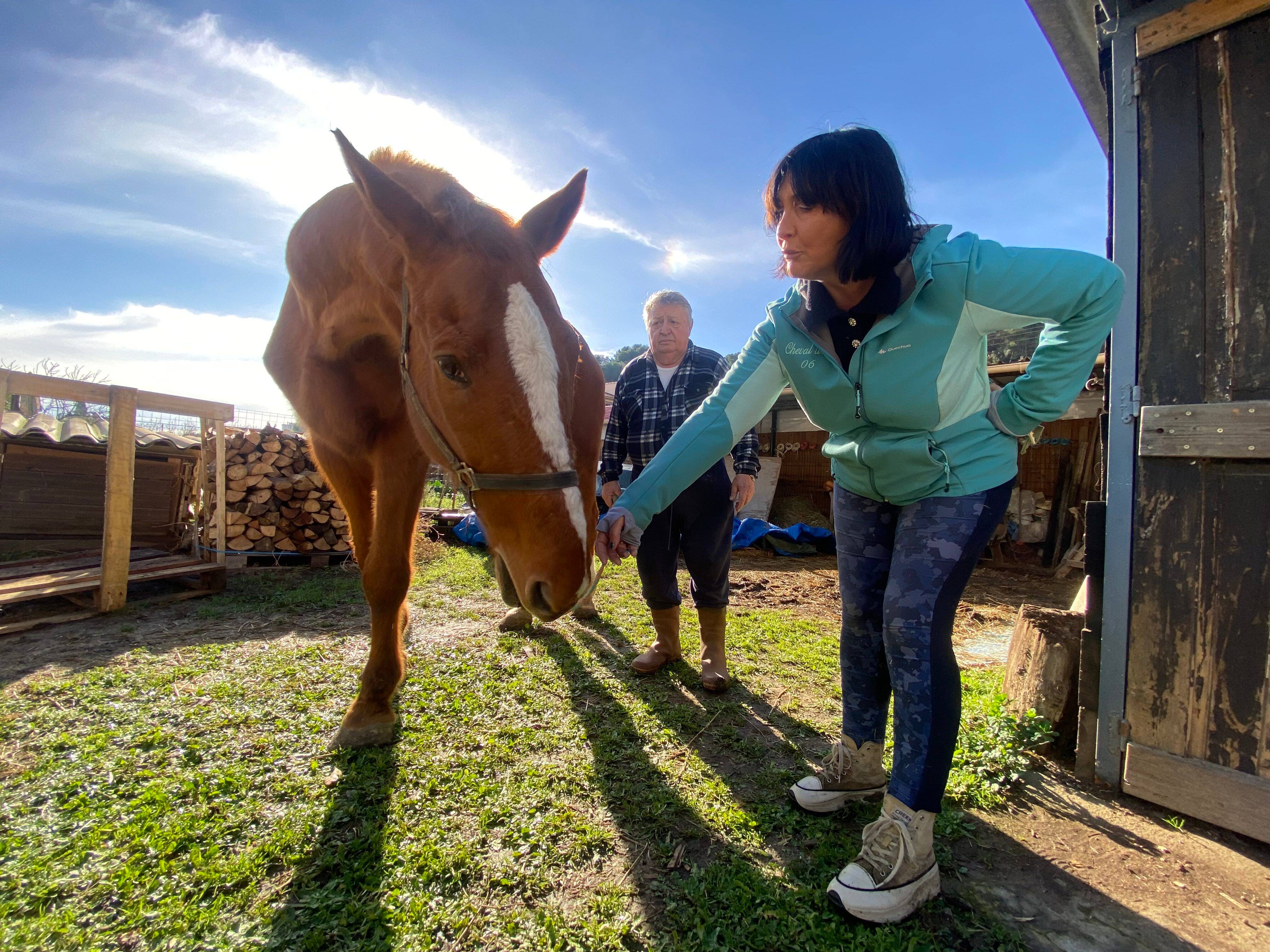 "Je suis soulagé": il cherchait à donner son cheval, une association l'accueille à 600 km de la Côte d'Azur grâce à une cagnotte