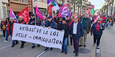 Belle mobilisation contre la loi asile-immigration à Toulon