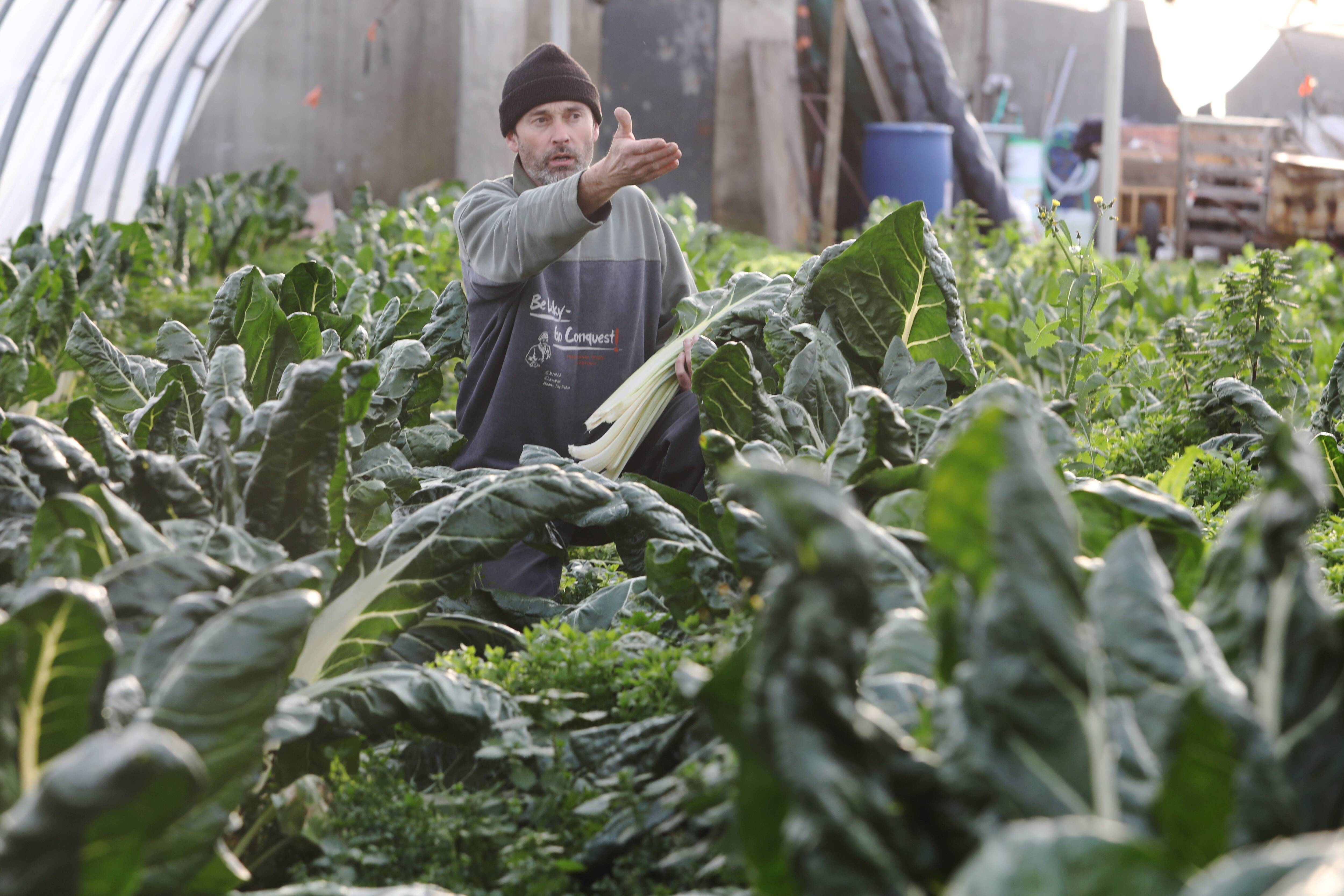 "Tout le monde aime les agriculteurs... mais loin de chez lui": l'exaspération de ce maraîcher niçois