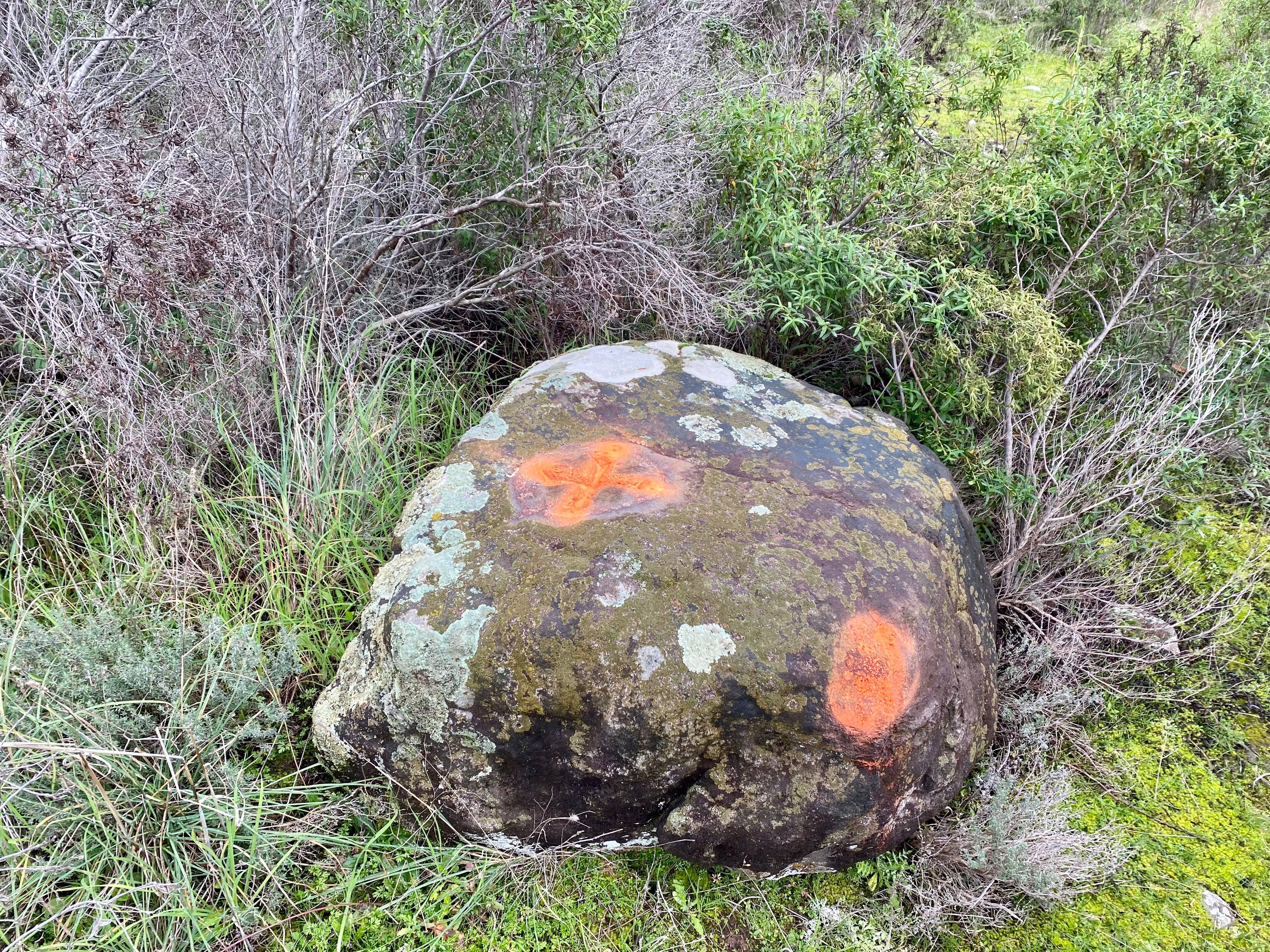 A quoi correspondent ces croix taguées dans la forêt entre Villeneuve-Loubet et Biot?