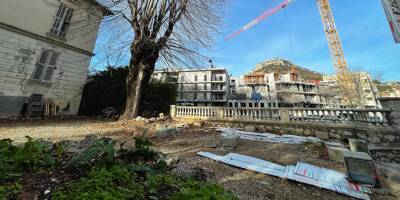Un tilleul centenaire en danger à cause du projet immobilier Chagall à Vence