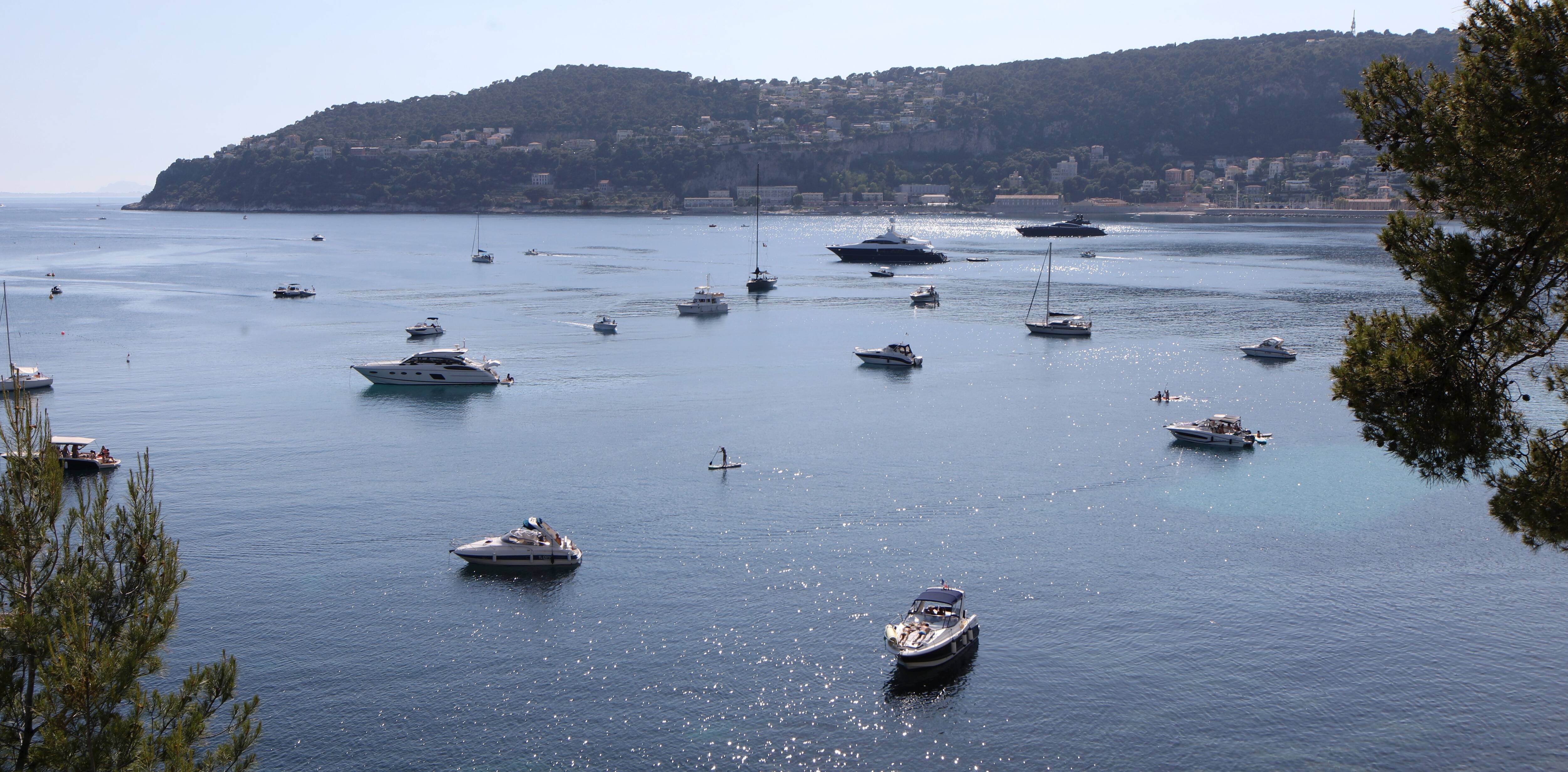 Protection de la posidonie: déjà 10 zones de mouillage écologiques dans le Var et les Alpes-Maritimes