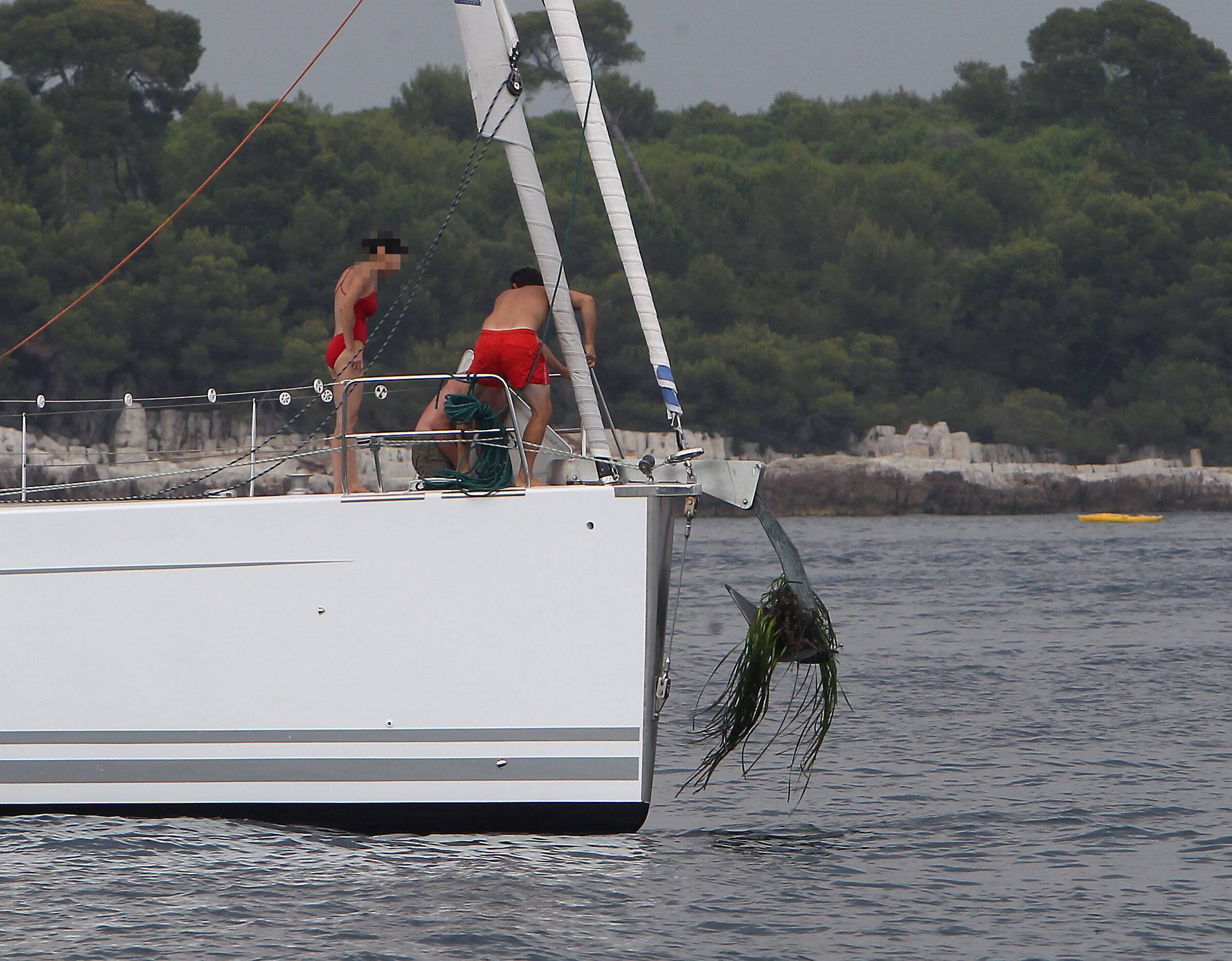 "Un précédent juridique est en train d'être créé": le long combat pour la protection des herbiers de posidonies en Méditerranée