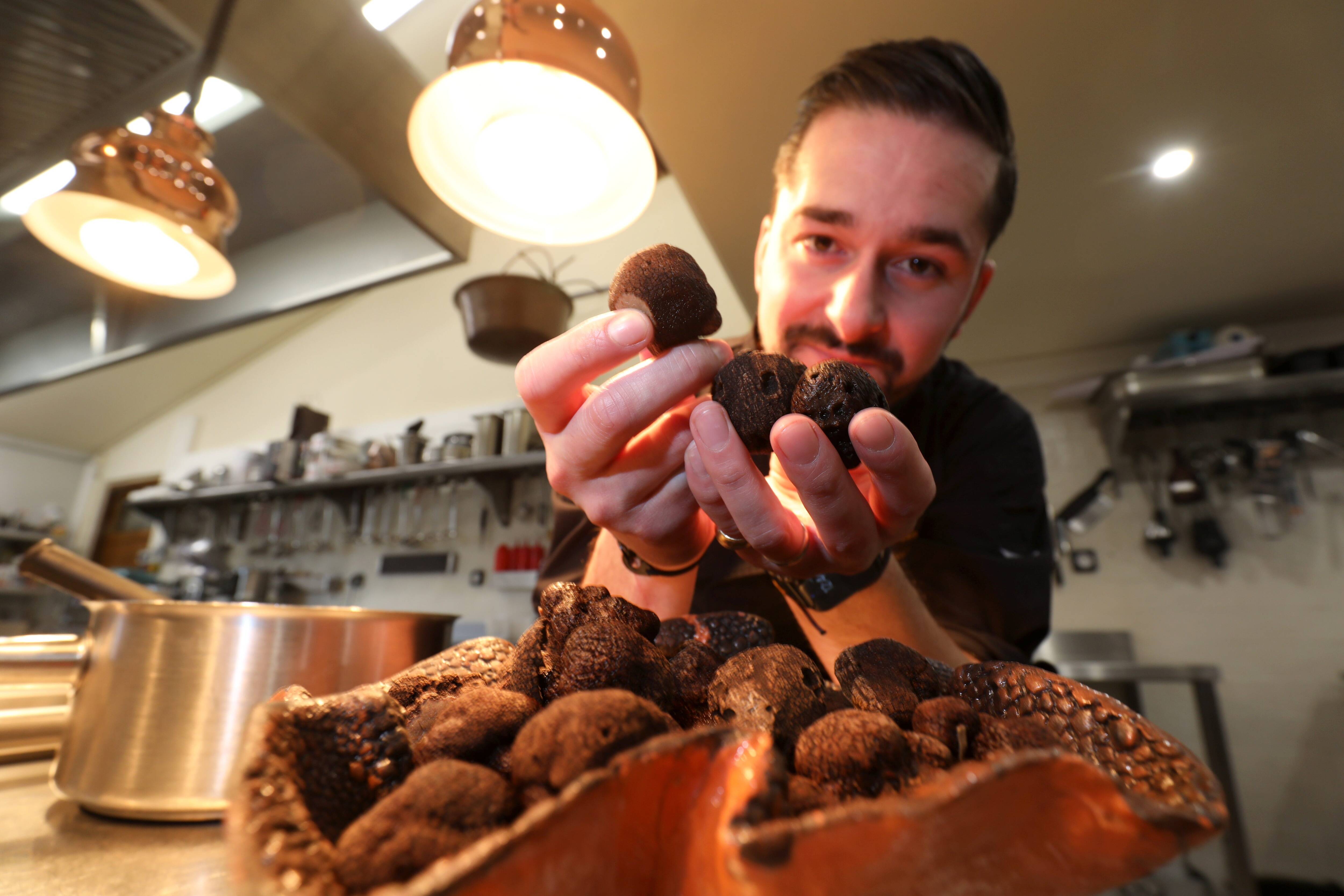 Face à la concurrence étrangère, les trufficulteurs varois poursuivent leurs efforts pour labelliser la filière locale