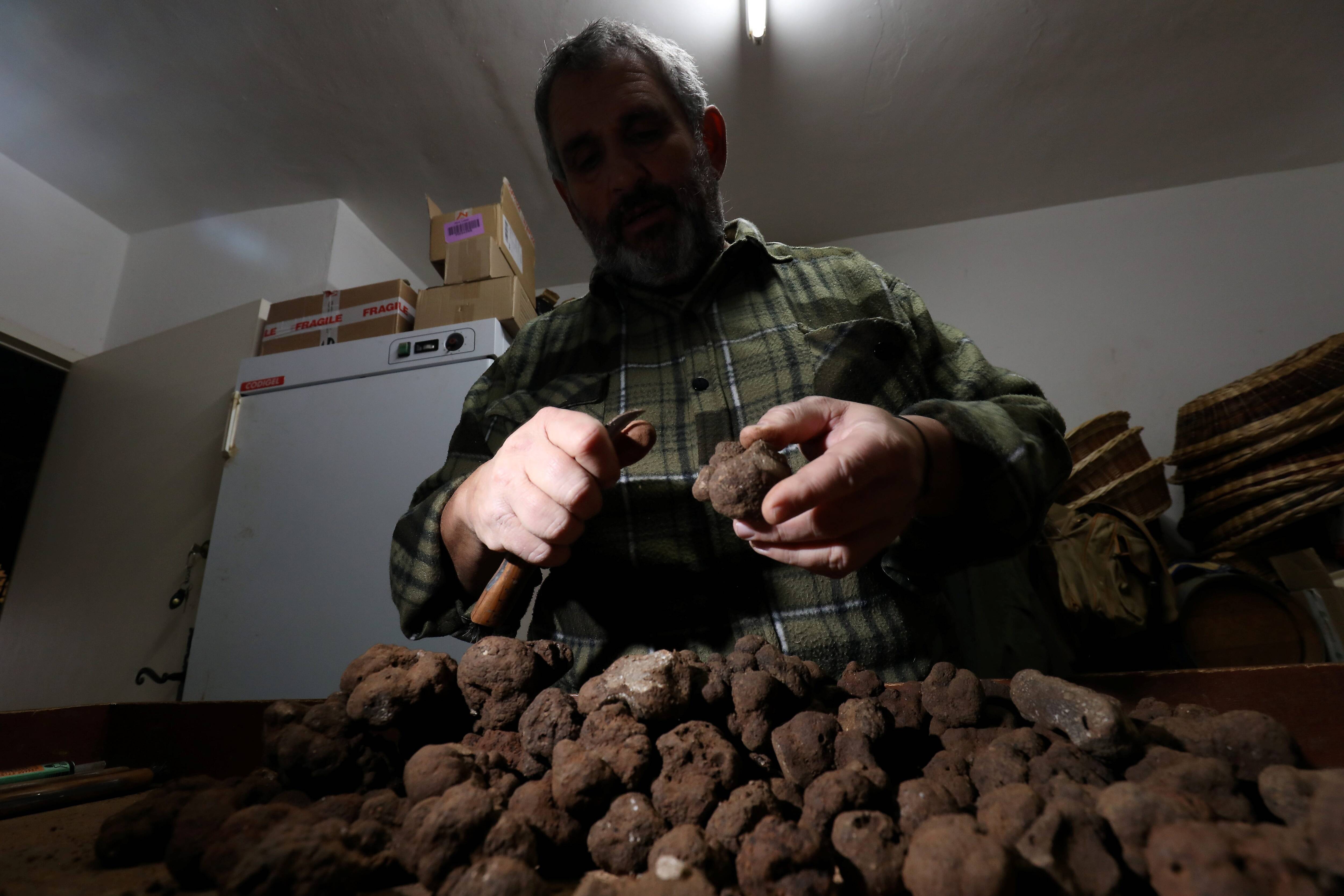 "Un loisir plus qu'un métier": les trufficulteurs du Haut-Var face au défi d'une filière en pleine transformation