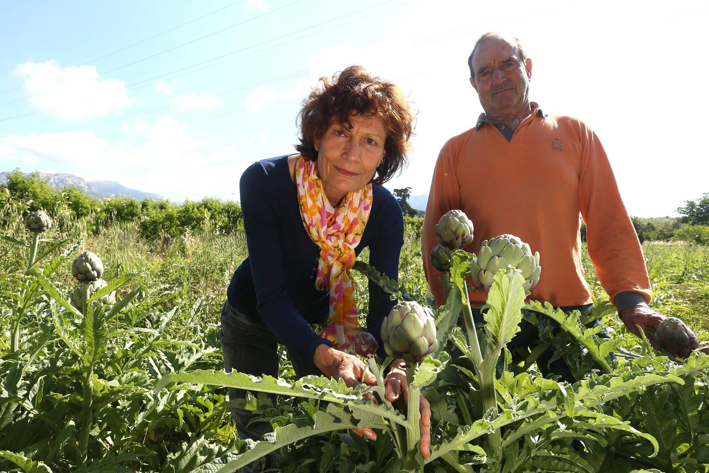 "Circuit court", une BD inspirée d'une AMAP varoise récompensée à Angoulême