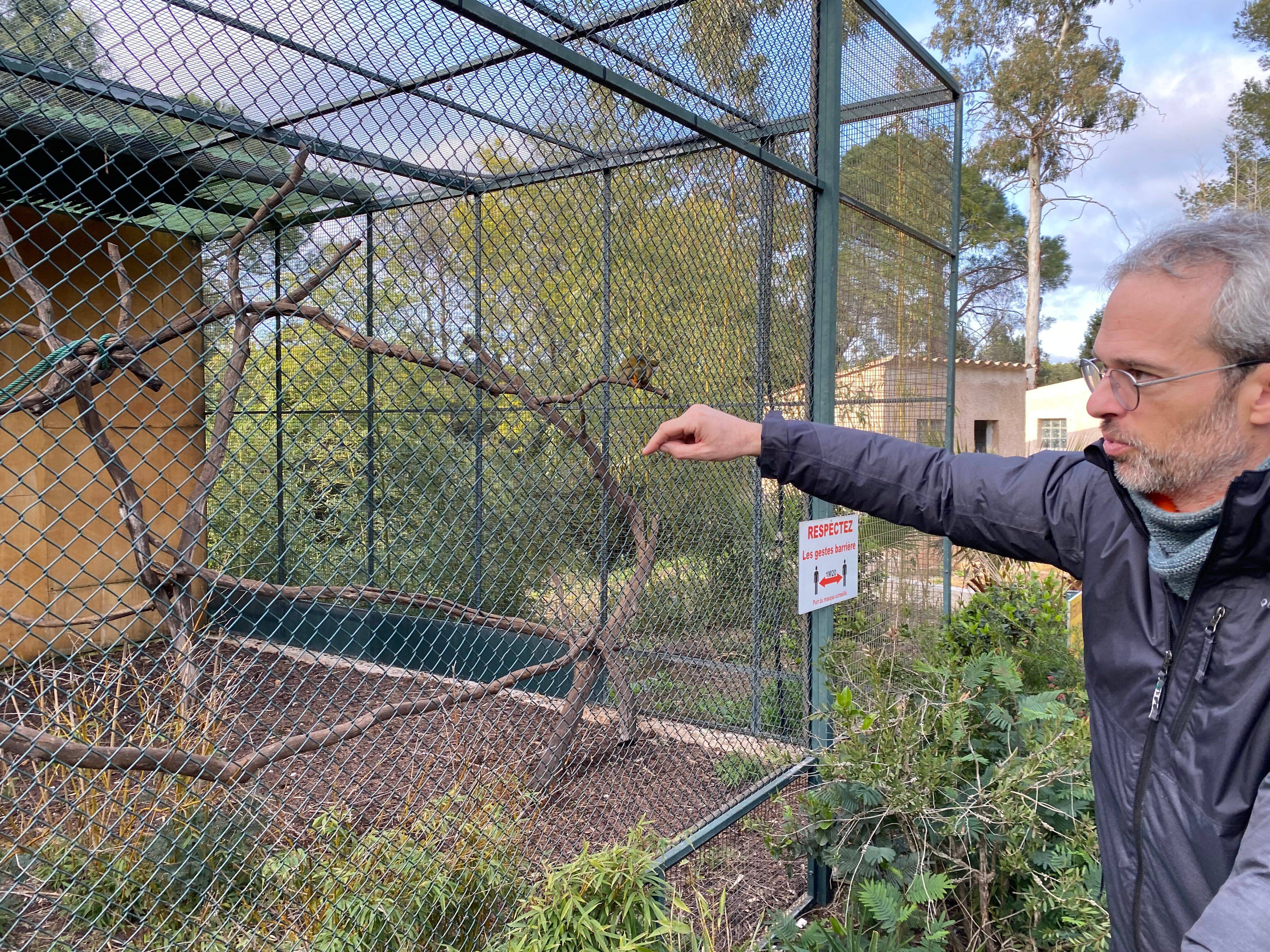 Ce que l'on sait après le vol de 14 singes en pleine nuit dans un zoo du Var