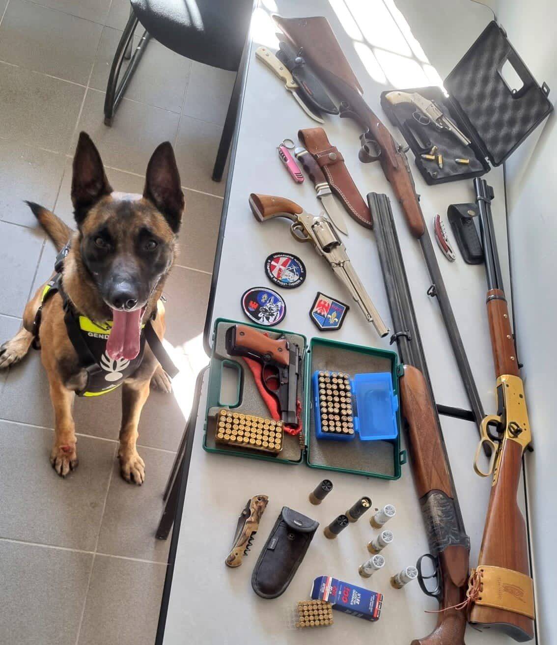 Un véritable arsenal saisi au domicile d'un habitant dans les Alpes-Maritimes