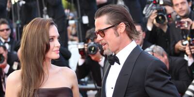 Brad Pitt gagne deux batailles contre Angelina Jolie dans la guerre autour du domaine de Miraval dans le Var