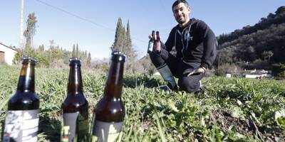 Cette brasserie des Alpes-Maritimes va faire pousser du houblon pour faire de sa bière