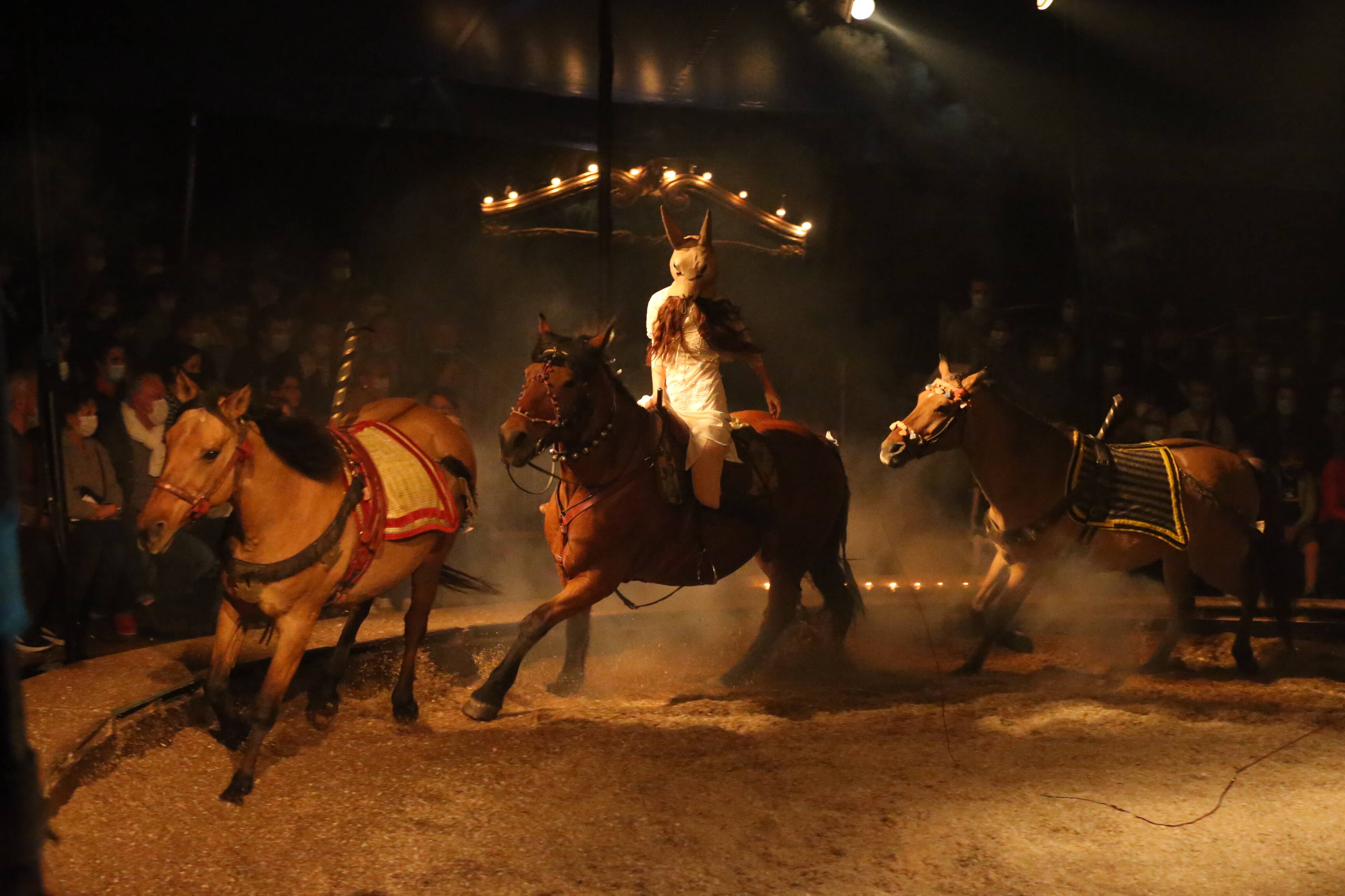 5 artistes, 6 chevaux et un chien: découvrez le nouveau spectacle de la compagnie Equinote ce week-end à La Seyne