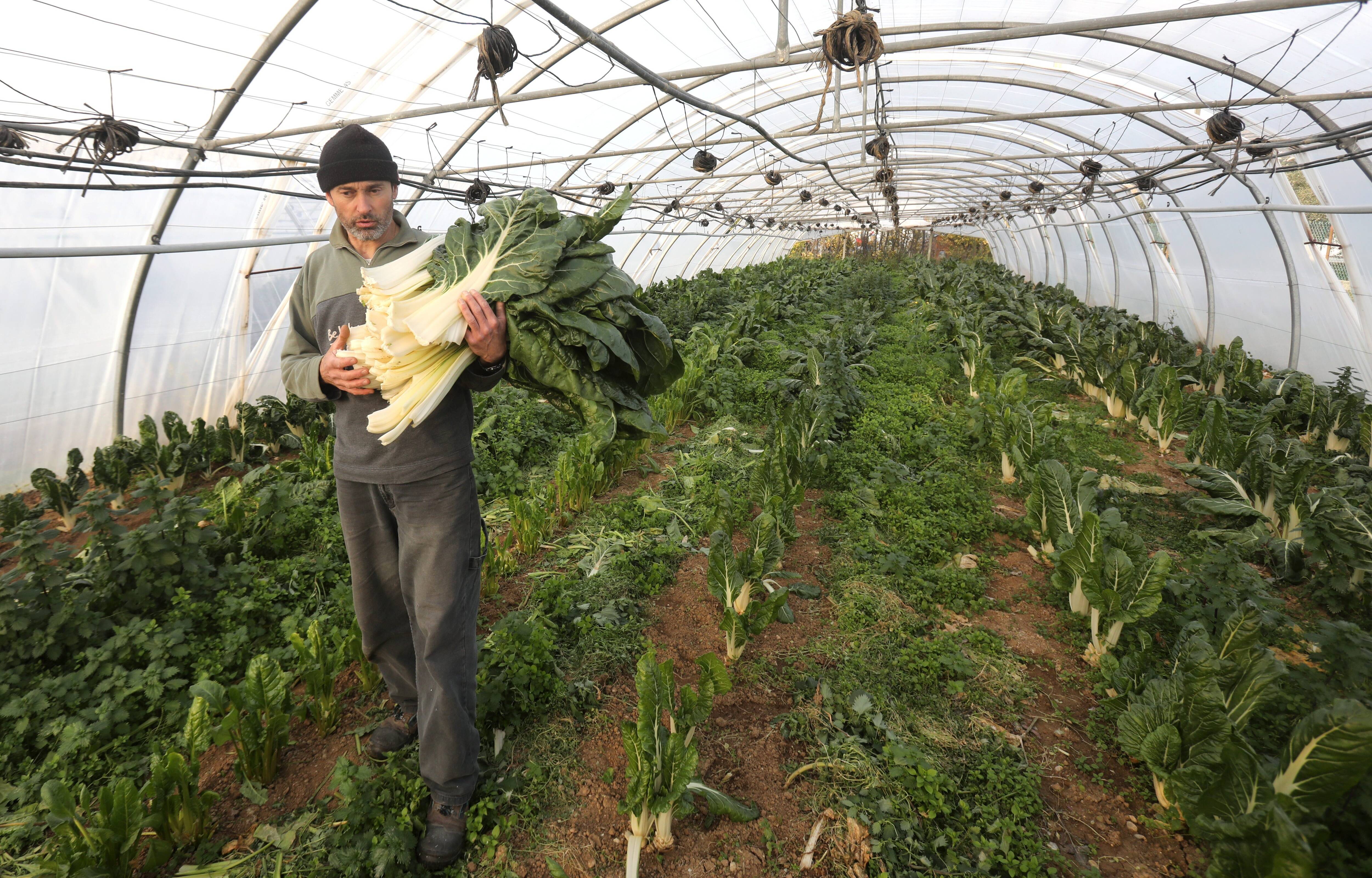 Pour mieux faire comprendre leur colère, des agriculteurs ouvrent leurs fermes ce week-end