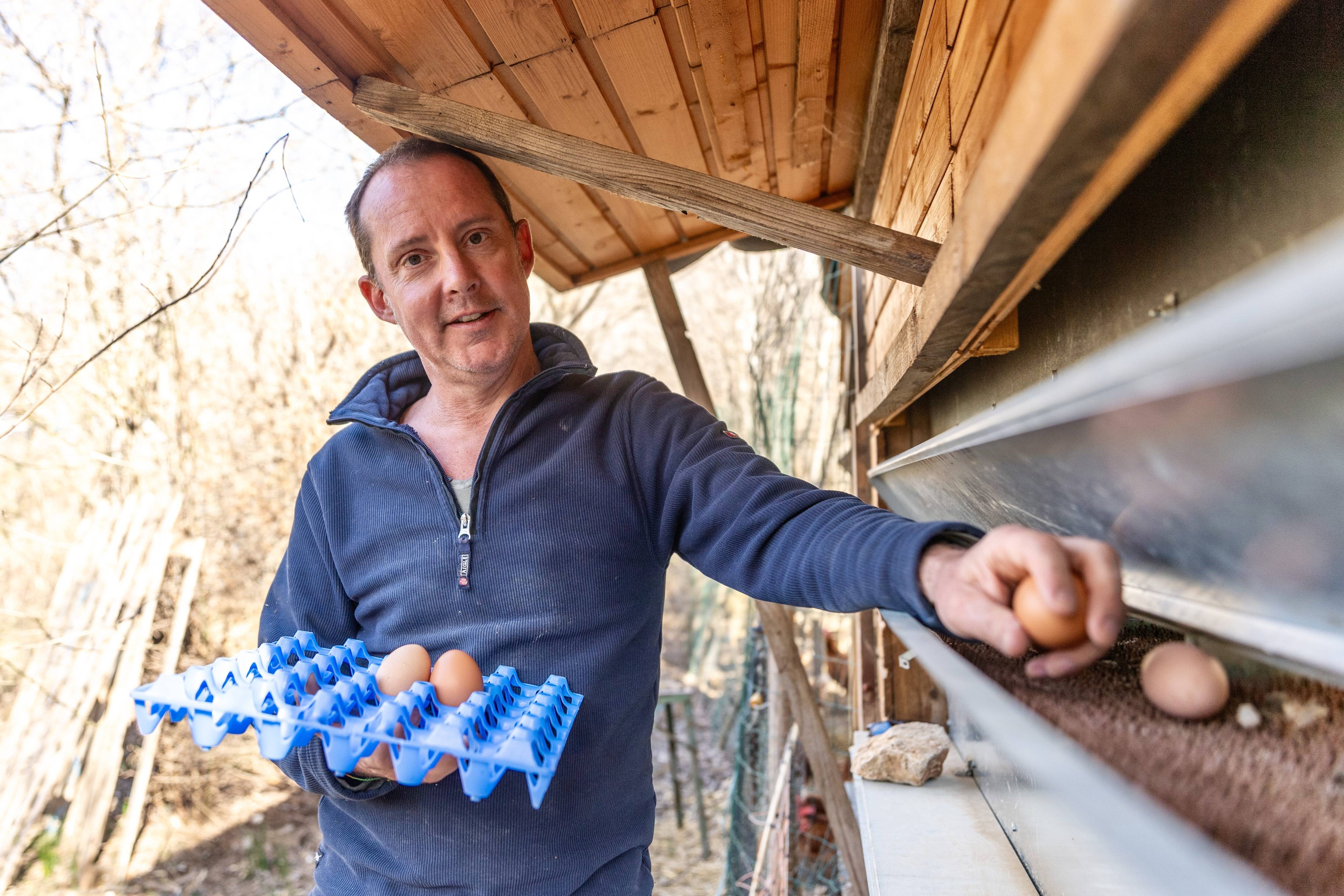 "C'est un stress et je n'ai pas de solution": cet éleveur de 250 poules rousses à Saint-Maximin est confronté à la pénurie en eau