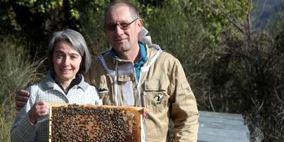 Frelon asiatique, concurrence étrangère, changement climatique: les apiculteurs azuréens ont le bourdon