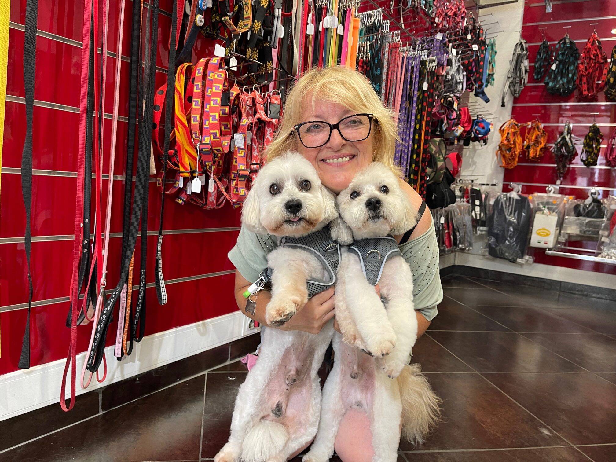 "Être dans l'accompagnement, même de ceux qui abandonnent": encouragée par la Ville, une association de protection des animaux créée à Villeneuve-Loubet