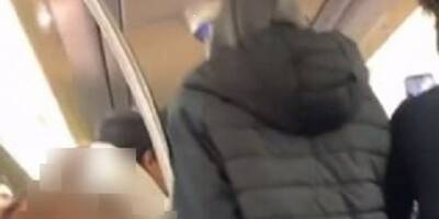 Deux Cagnois de 17 ans condamnés pour des chants antisémites dans le métro parisien
