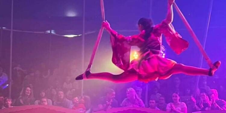 Le cirque Warren Zavatta revient à Six-Fours pour fêter ses 20 ans