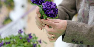 La violette à l'honneur au jardin de Baudouvin de La Valette, ce dimanche