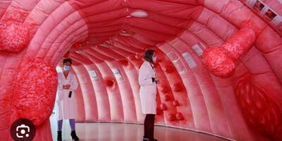 On vous explique à quoi sert cette structure gonflable installée en forme de côlon ce jeudi à Cannes