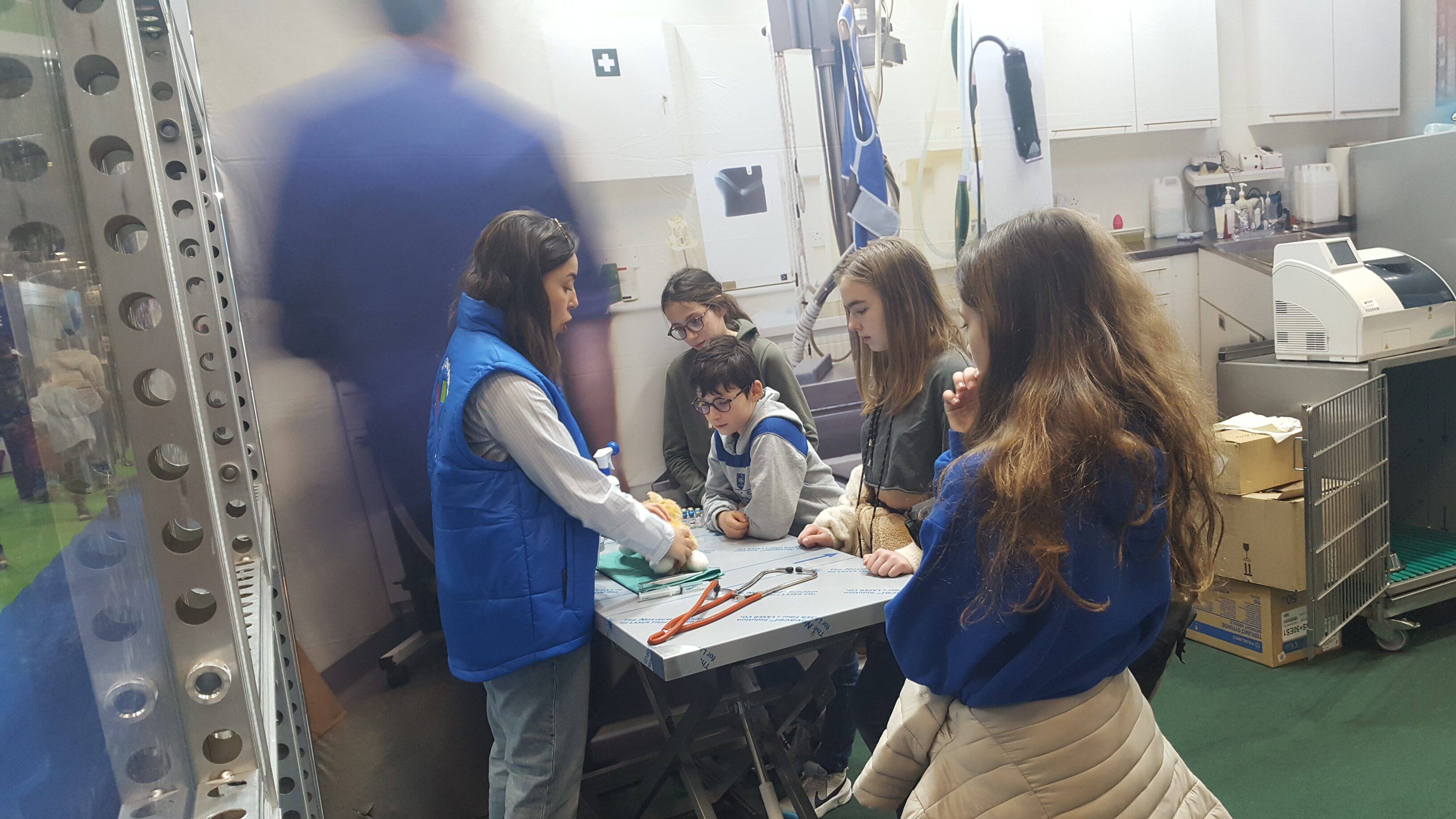 Aides ponctuelles et mensuelle : comment les Alpes-Maritimes veulent lutter contre le manque de vétérinaires ruraux