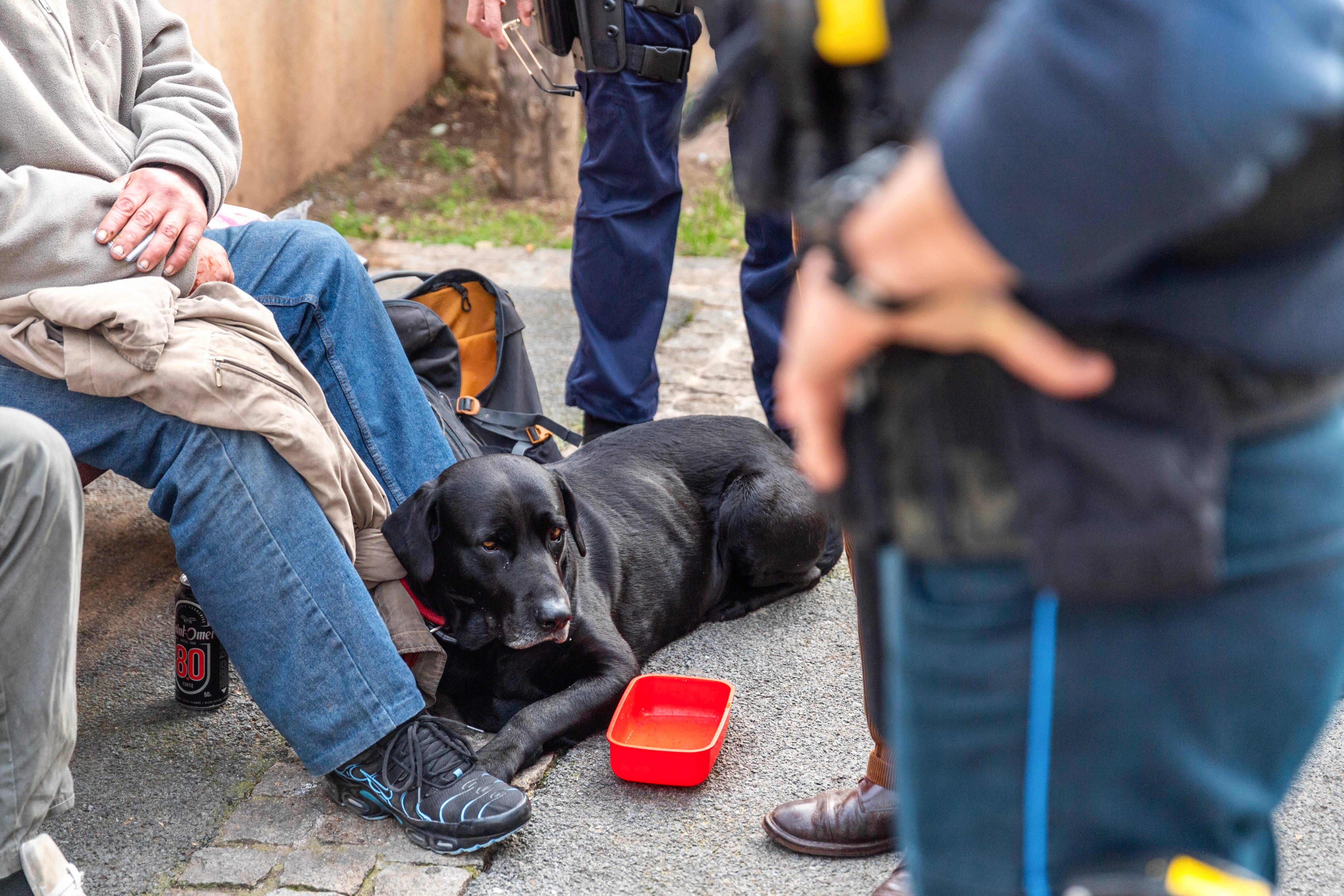 Pour endiguer les nuisances de certains SDF, les autorités veulent resserrer la vis à Draguignan
