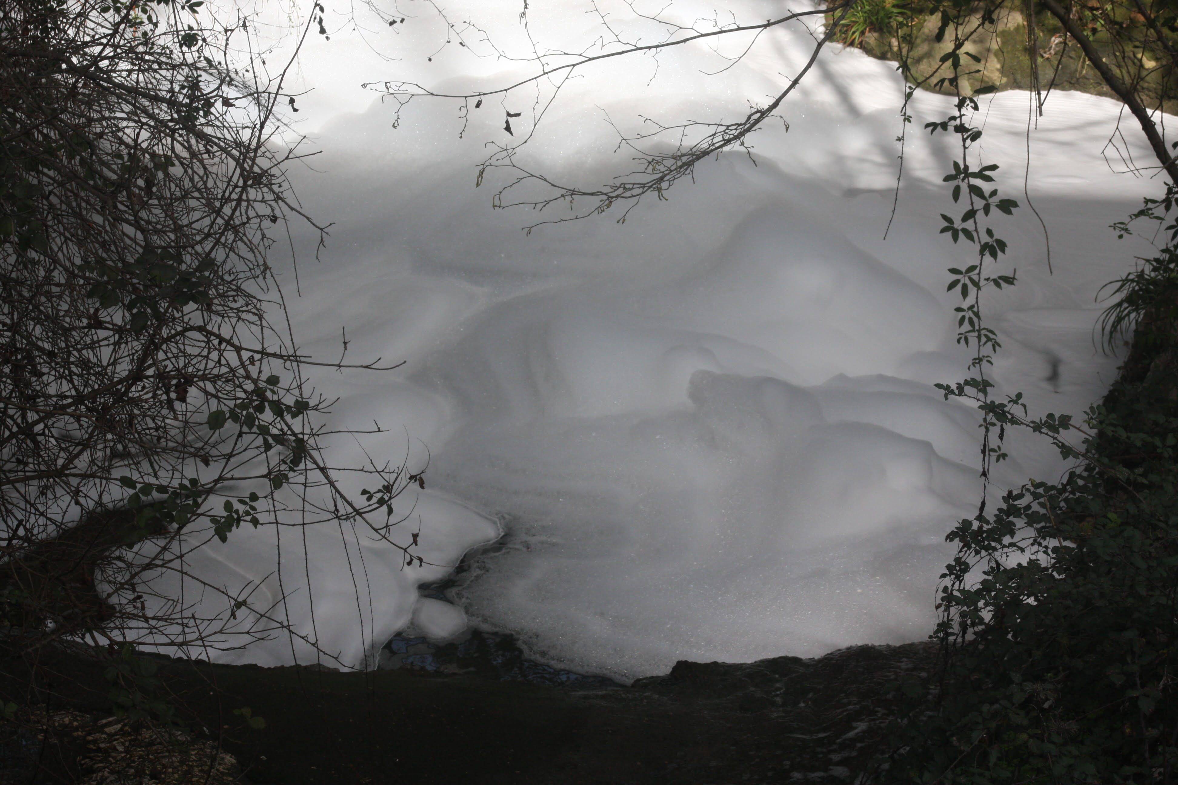 D'où vient cette mousse qui s'est déversée dans un ruisseau près du cours d'eau de La Valmasque à Antibes ?