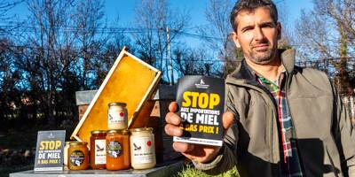 Faux miels, stocks invendus: l'apiculture en crise depuis 2023