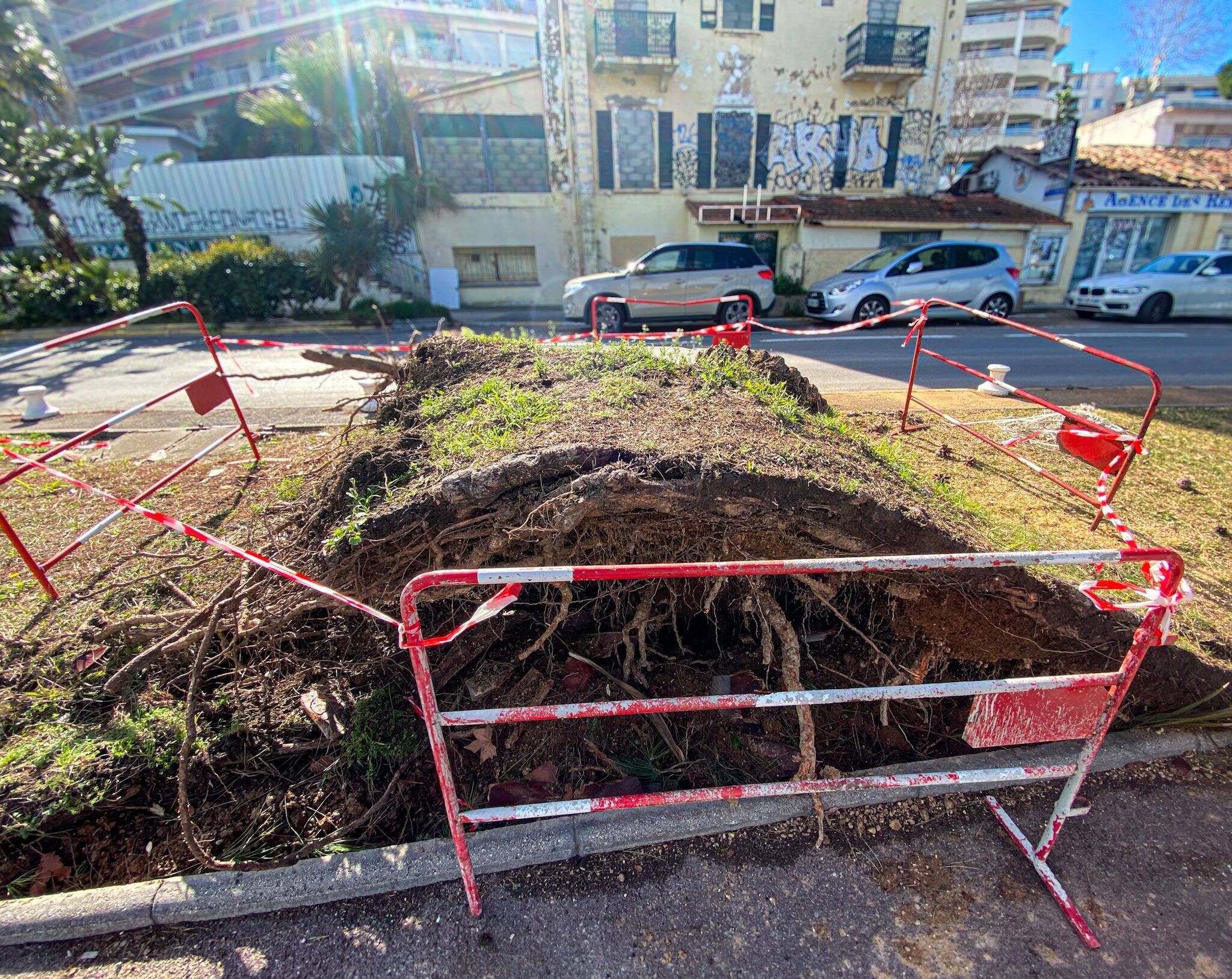 "Après la crise, on sécurise": au lendemain de la mini tornade dans le Vieil Antibes, municipalité et pompiers se mobilisent