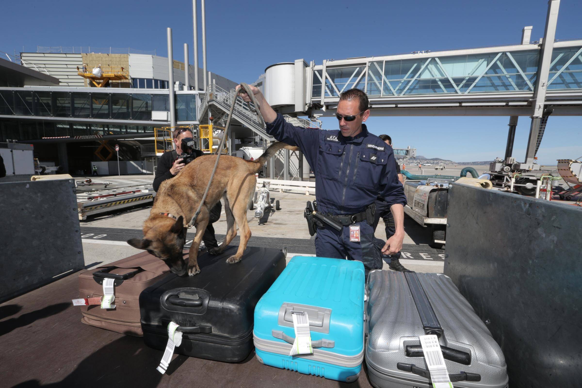 Elle voyageait avec 5 kg de cocaïne brésilienne dans des bagages à Nice: la "mule" laissée en liberté, les donneurs d'ordre restent en prison