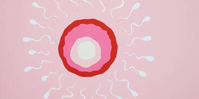 Pourquoi la fertilité masculine est-elle en berne? Décryptage avec un urologue varois
