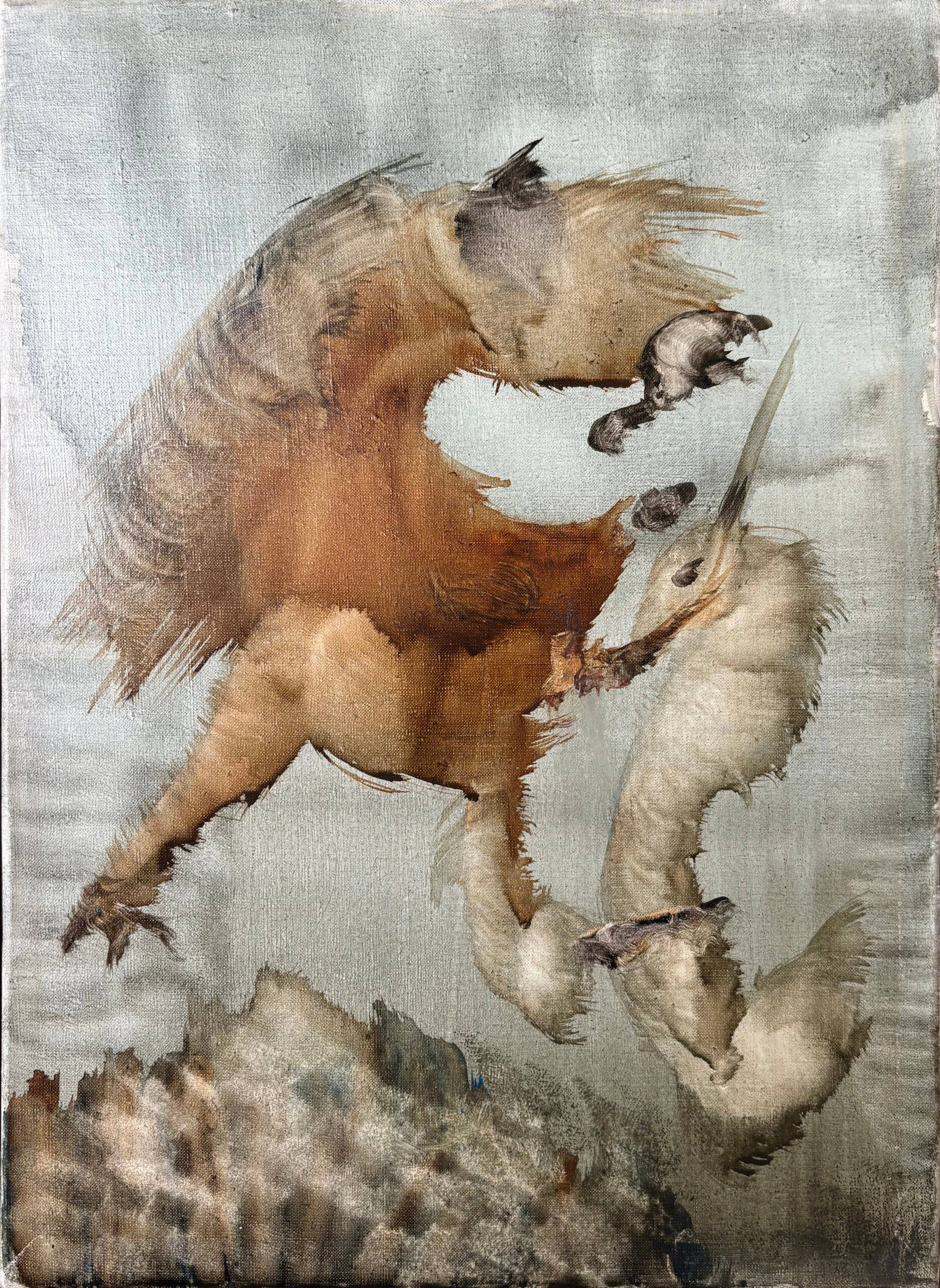 Marie-Laure de Noailles exposée chez elle à Hyères