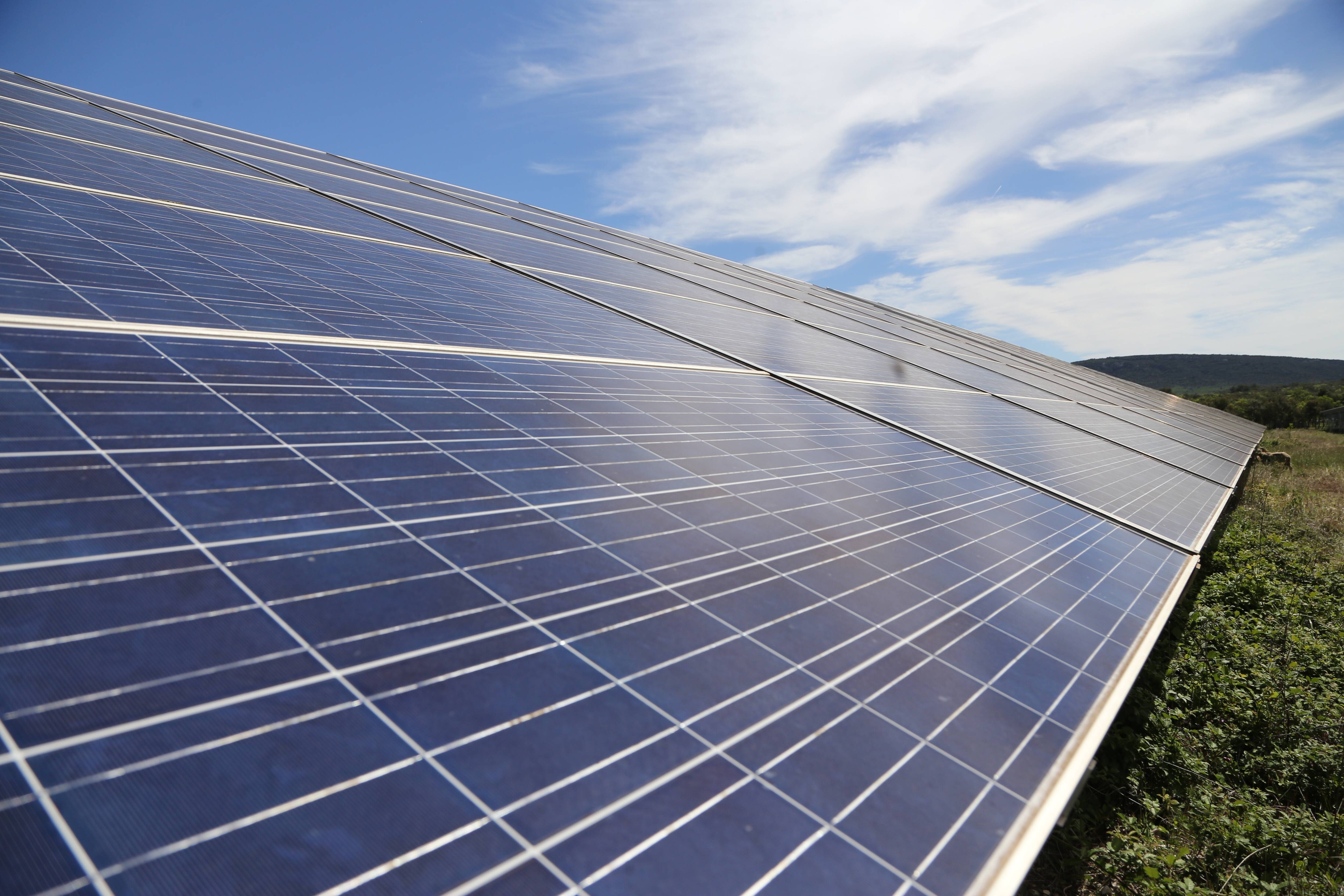 Risques pour la biodiversité, les biens et les personnes... Malgré l'avis sévère de l'enquête publique, l'État valide le permis de construire d'un parc photovoltaïque