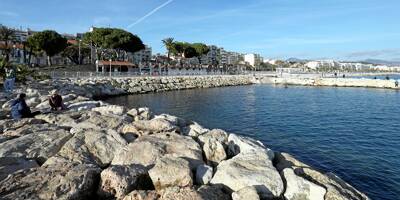 Le comité de quartier appelle à ressusciter ce petit port de Nice