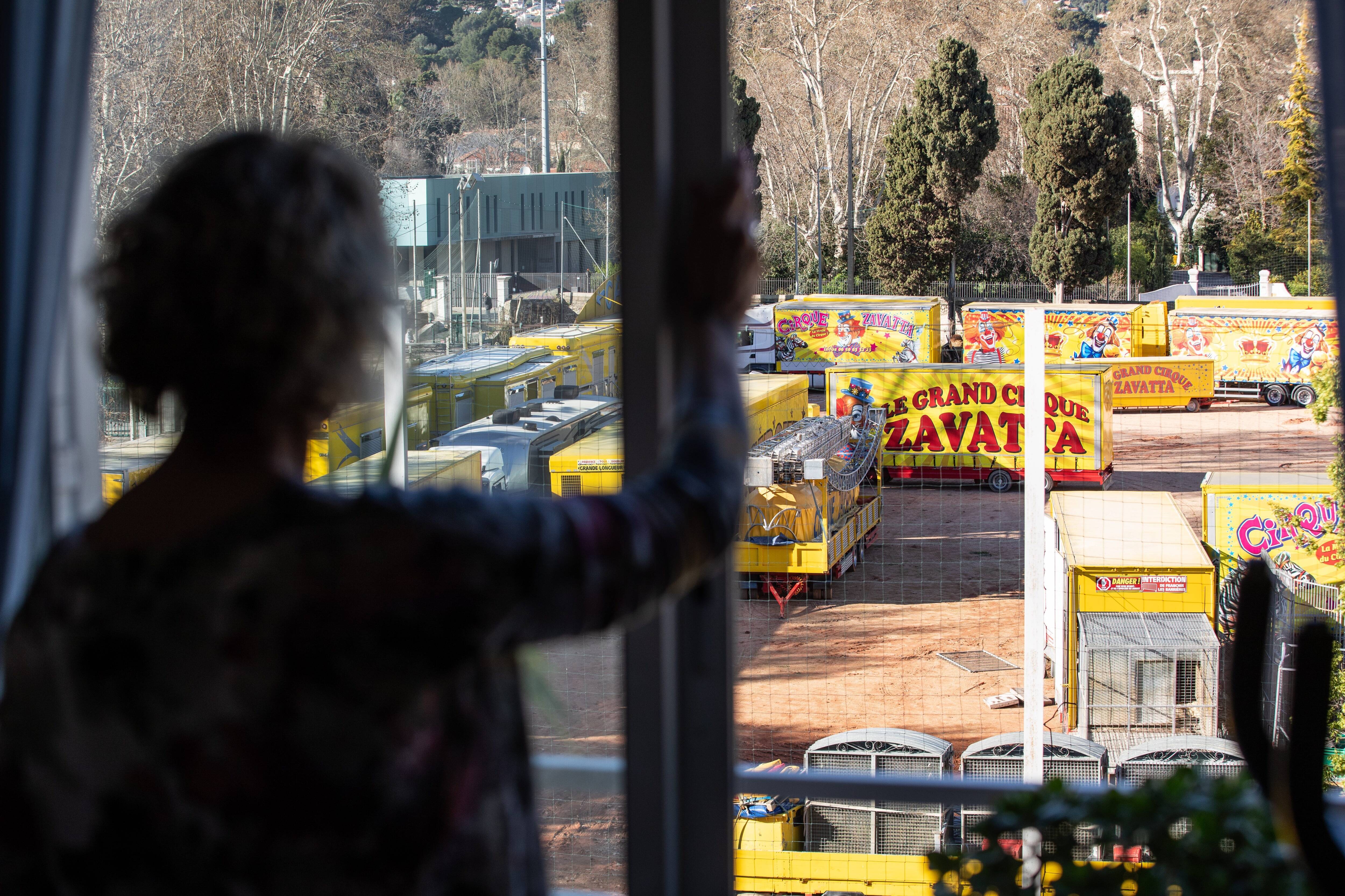 "Je ne vous raconte pas le boucan que fait le tigre": à Toulon, le cirque Zavatta s'est installé sous les fenêtres de riverains médusés