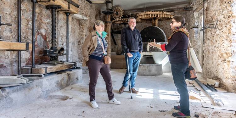 Aux Arcs, le moulin Sainte-Cécile: vers un musée oléicole interactif