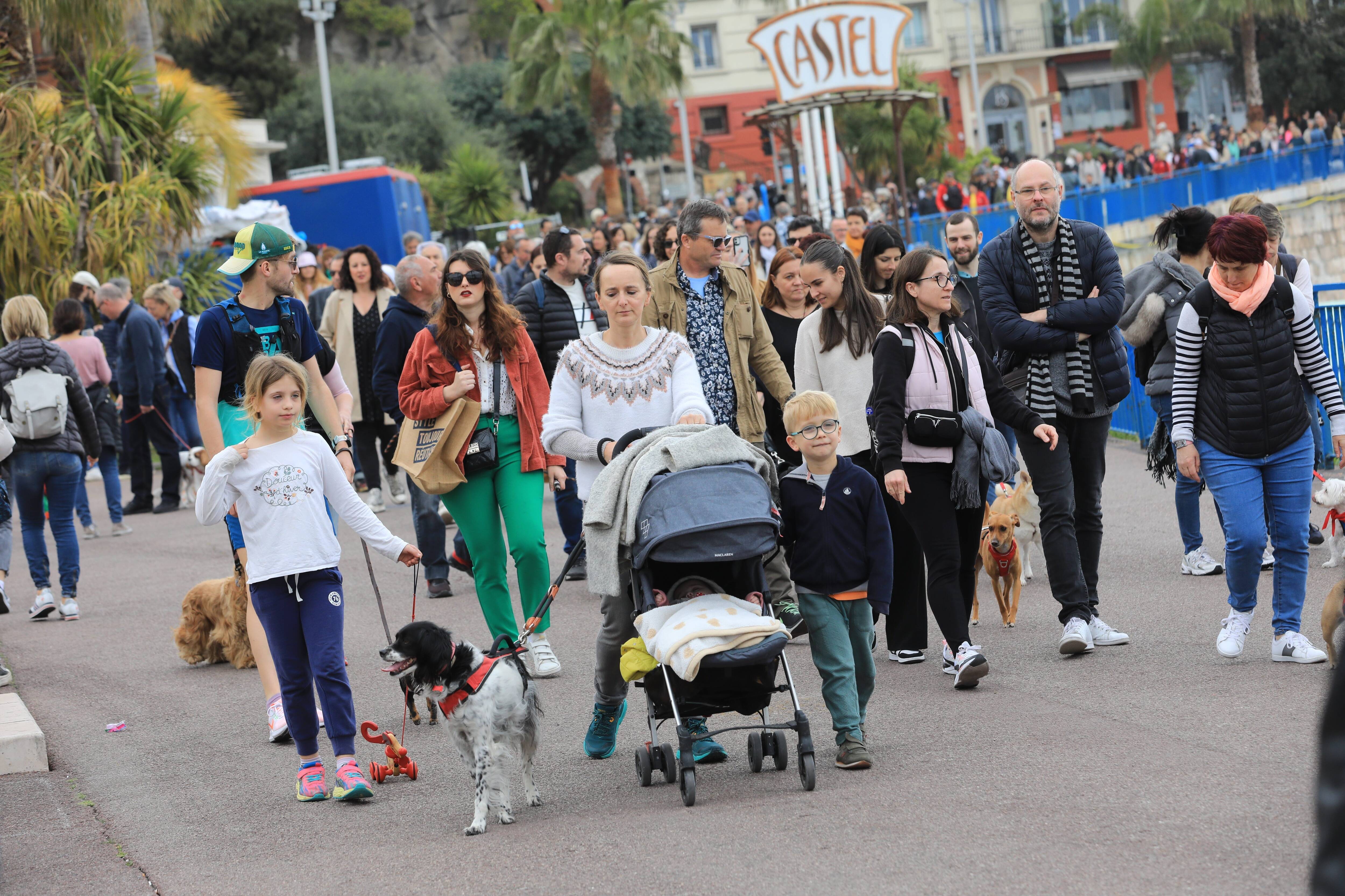 "Congédié comme un laquais" de la mairie, Henry-Jean Servat organisera malgré tout une marche des animaux en avril prochain