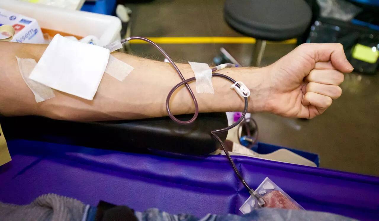 Jeux de société, blind-test... À Carros, une collecte de don du sang ludique est organisée ce mercredi