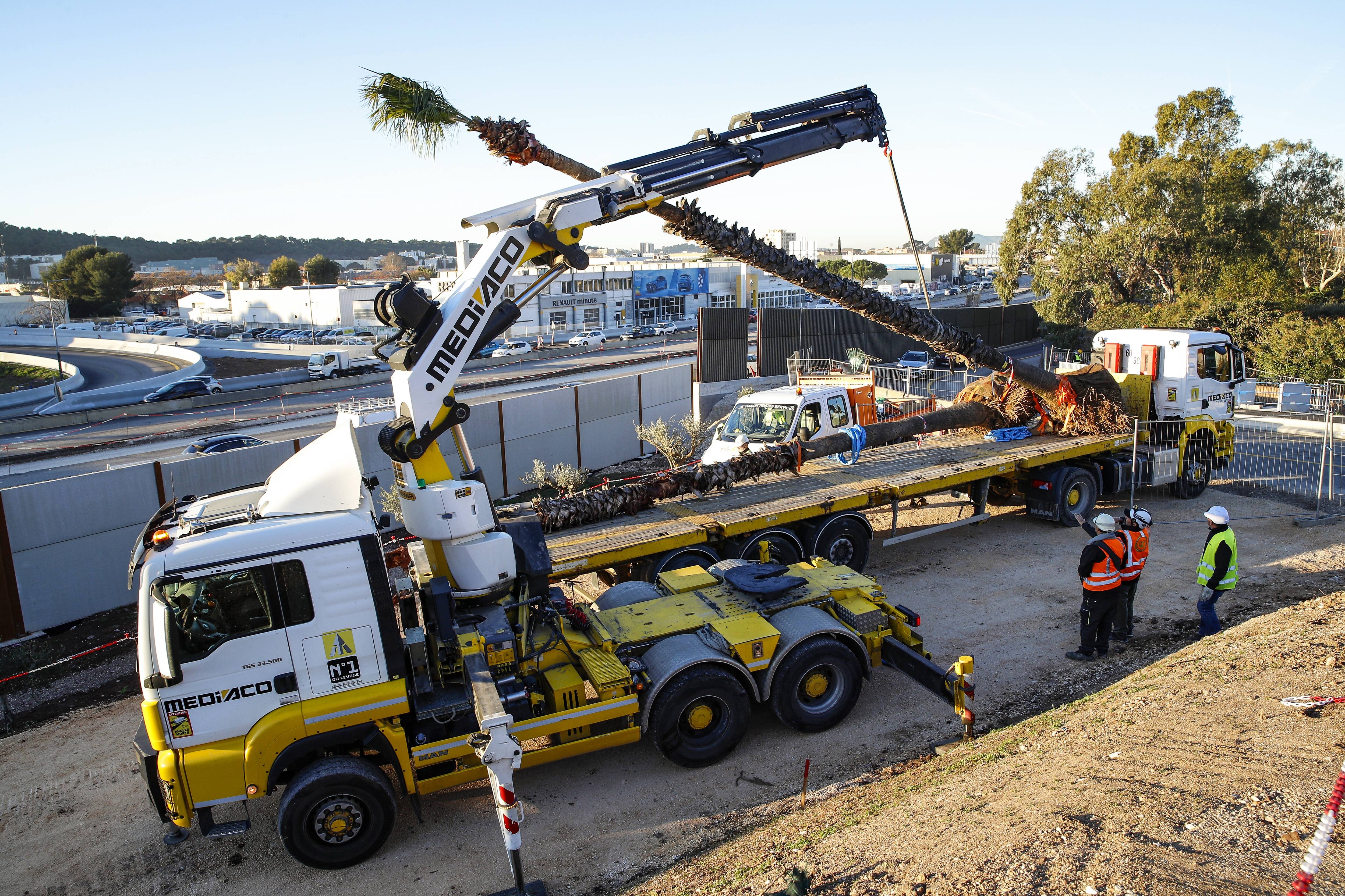 Les arbres font leur retour aux abords de l'autoroute A57
