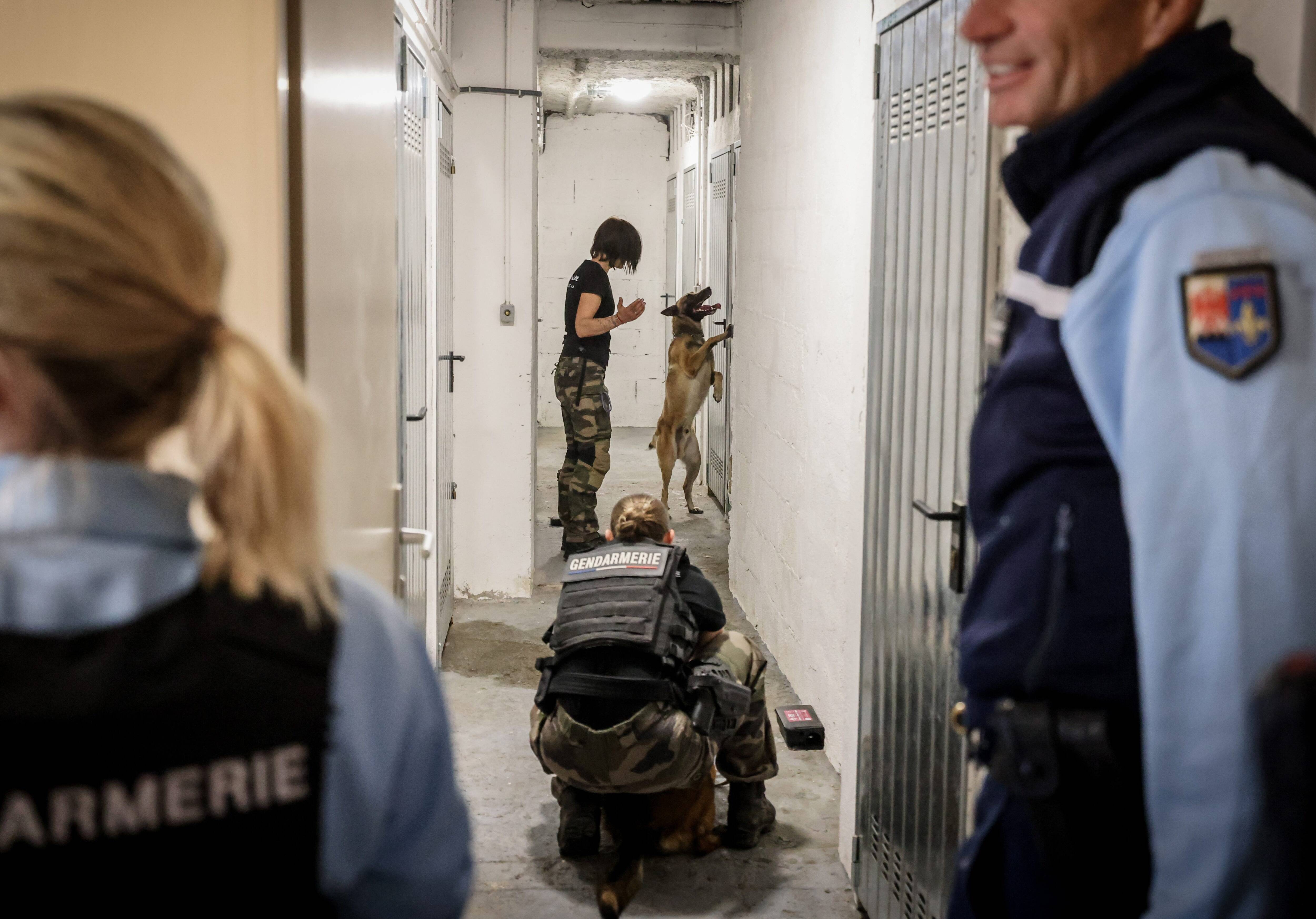 "On montre aux délinquants que la voie n'est pas libre" : les gendarmes investissent en force des quartiers azuréens pour faire "place nette"