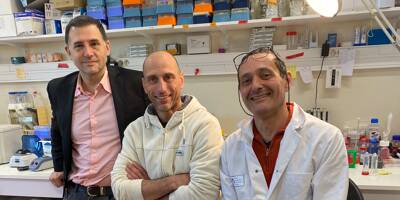 Tumeurs cérébrales: après la découverte d'une molécule, une équipe niçoise se dirige vers des essais cliniques