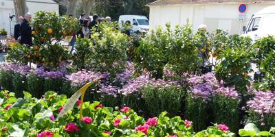 Le jardin de demain s'expose ce week-end aux Espaces du Fort Carré à Antibes
