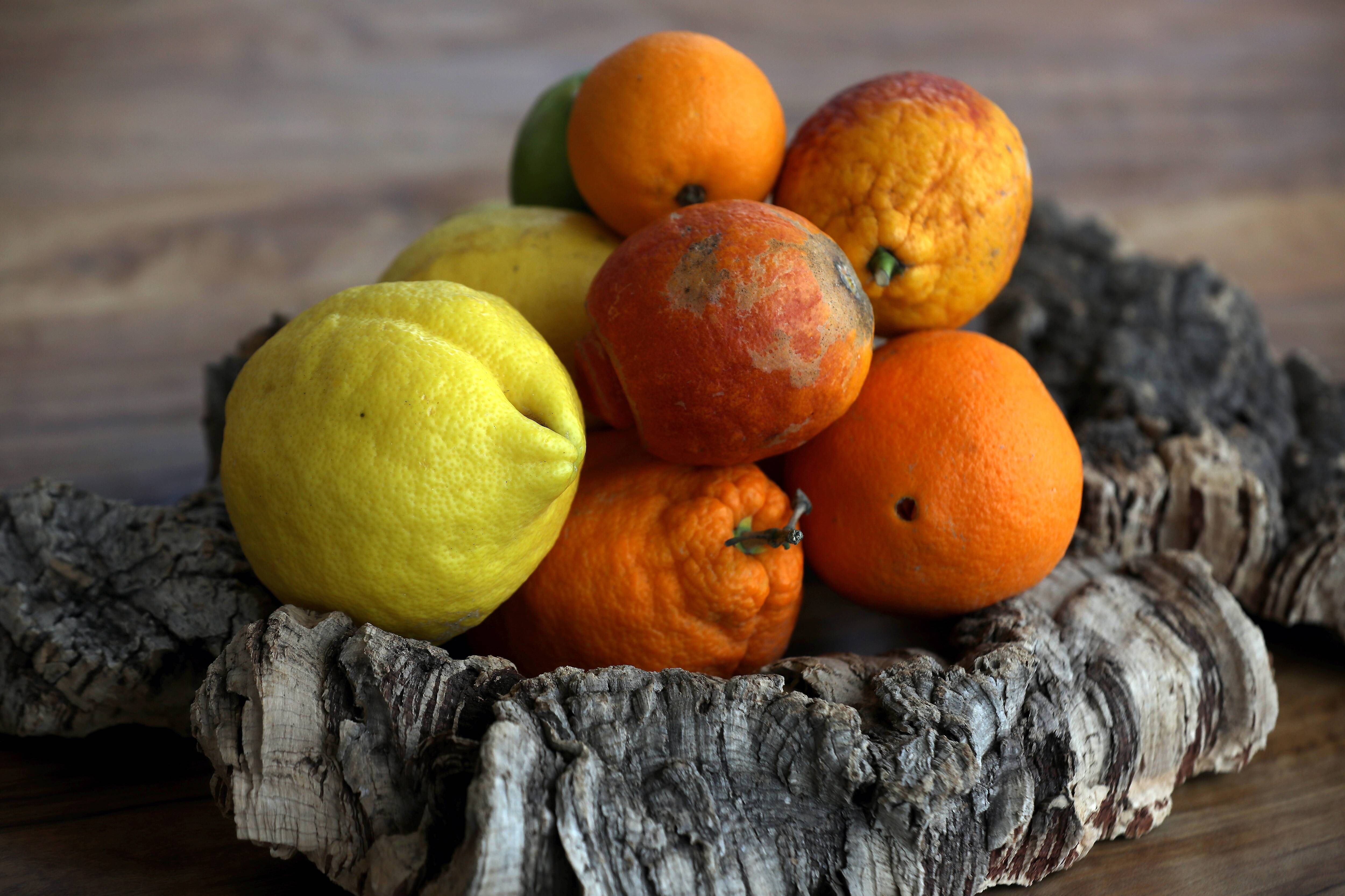 Les 5 bonnes raisons de se presser au Salon de l'agrume de Menton vendredi et samedi