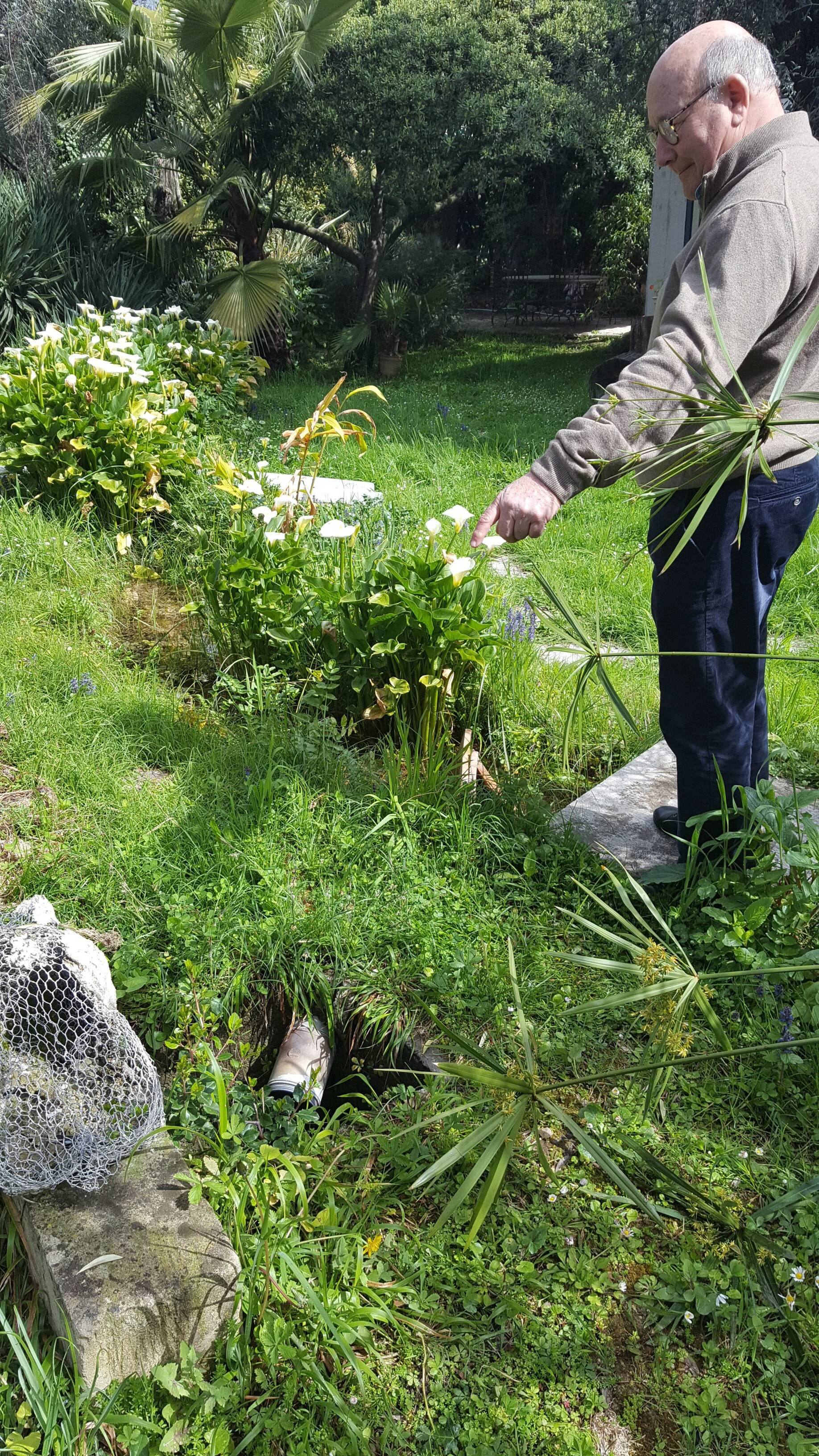 "J'ai dû faire une dérivation, mon jardin s'était transformé en rizière": depuis trois semaines de l'eau coule sur cette avenue de Nice