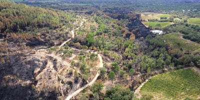 Des exploitations agricoles pour combattre la propagation des incendies dans le Golfe de Saint-Tropez